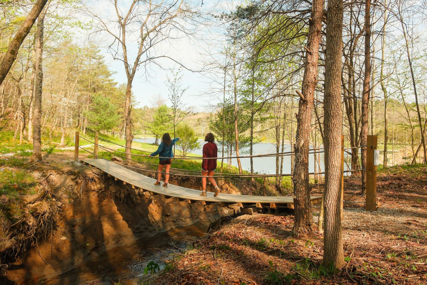 Two hikers cross a wooden footbridge through a sunlit forest with a serene lake visible through the trees.