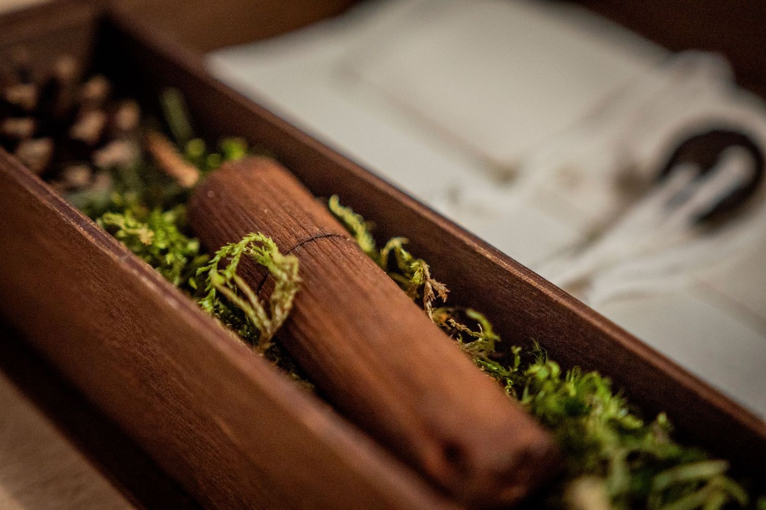 A planter box with fresh herbs and seedlings growing in a wooden container with rich soil and green leaves.