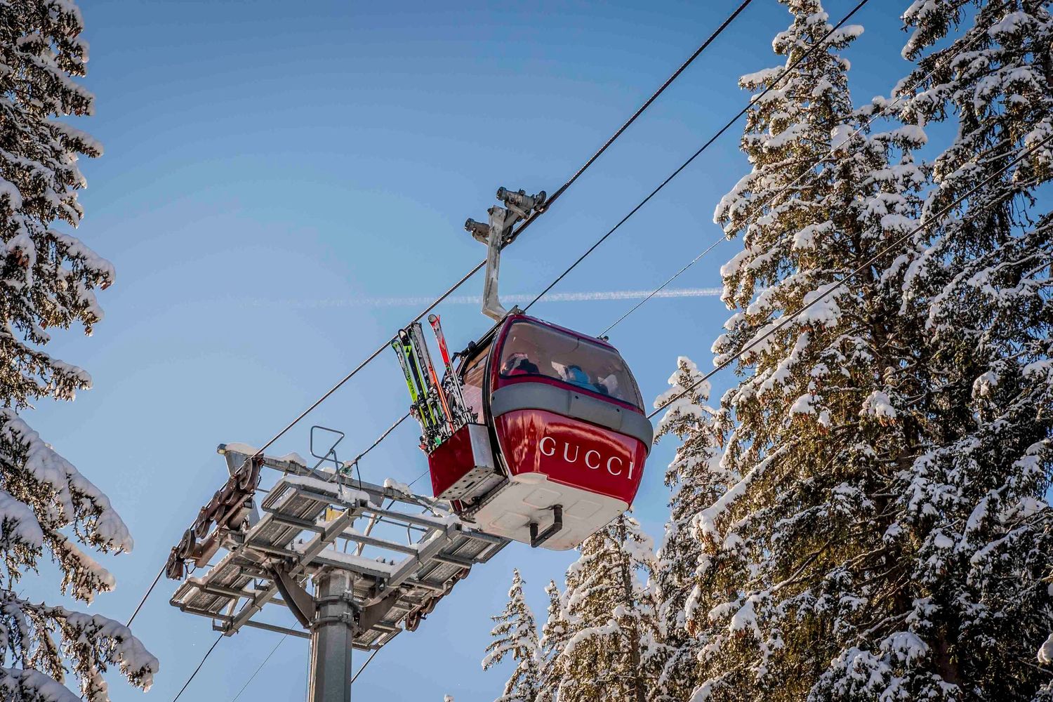 Snow-covered pine trees and ski lift cables against a bright blue winter sky.