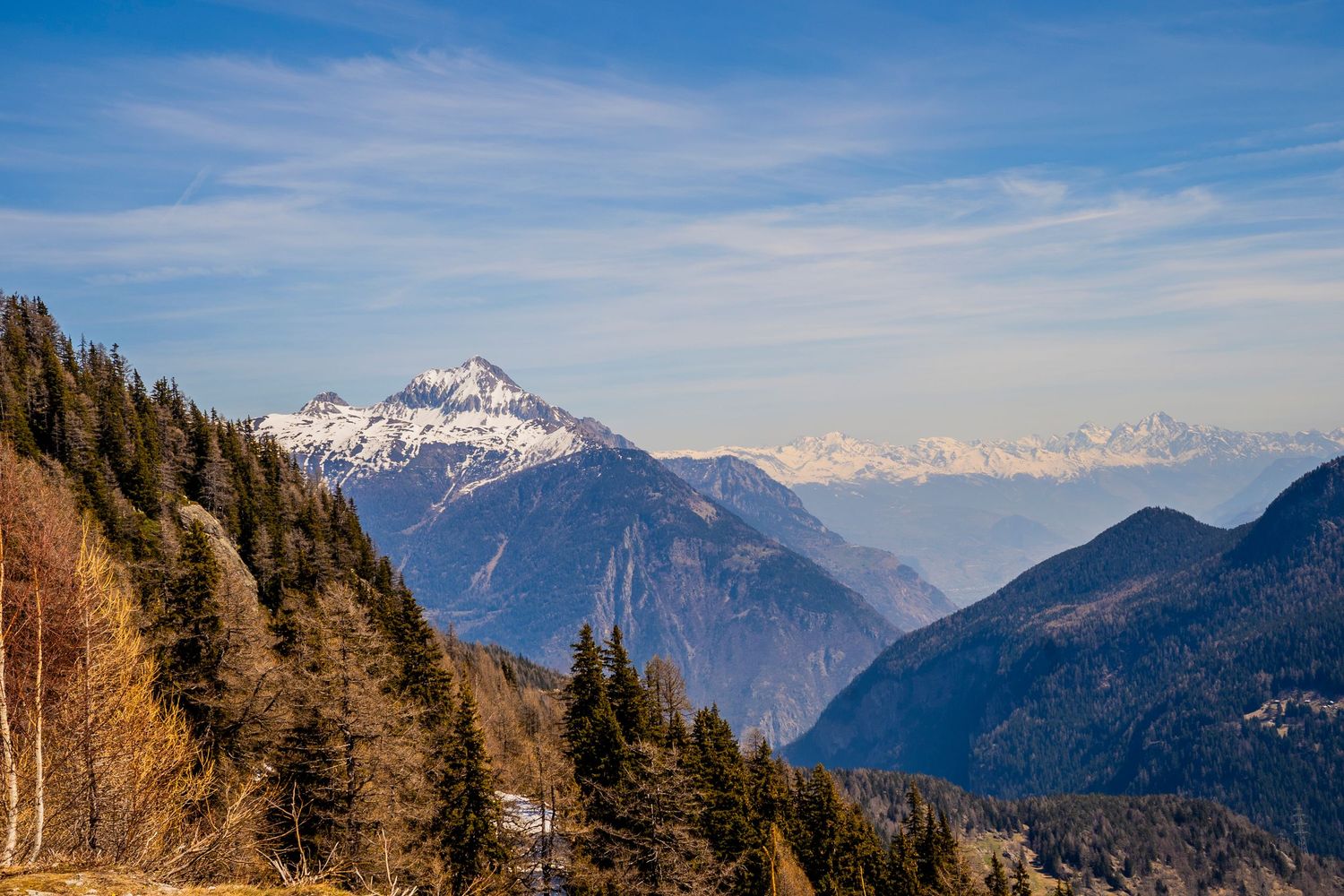 Snow-capped mountain peaks tower over a scenic valley with evergreen forest slopes under blue skies in the Alps.