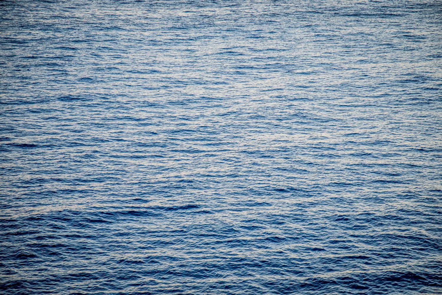 Rippling blue ocean water surface texture with gentle waves stretches across horizon on a sunny day.