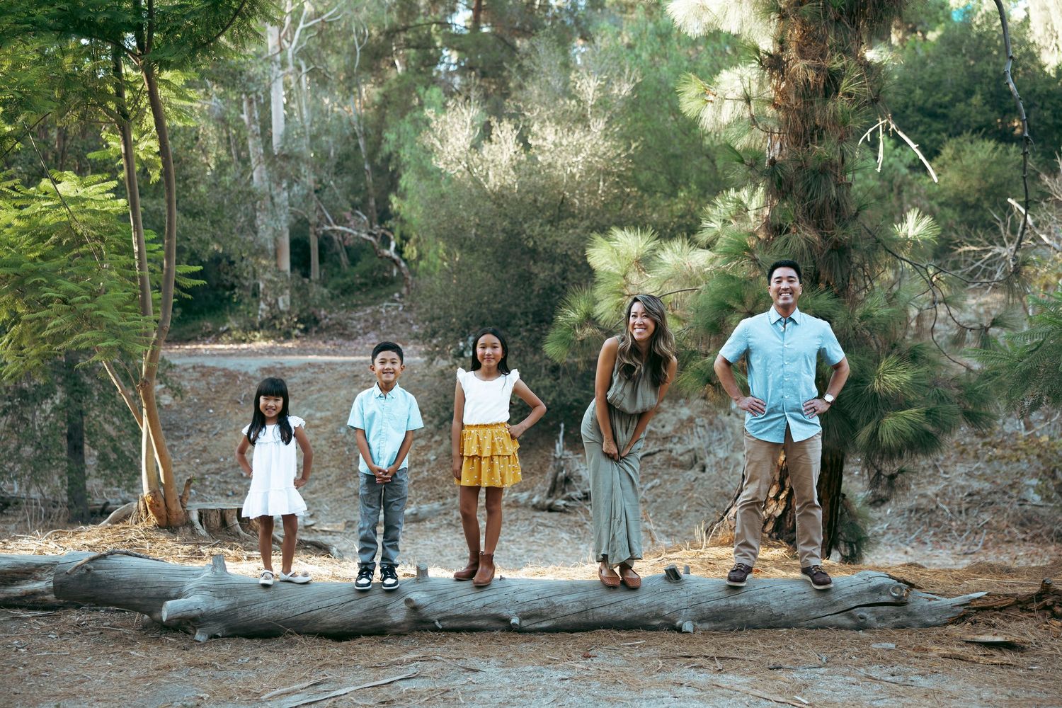 Family of five posing together on a fallen log in a sunlit forest setting.