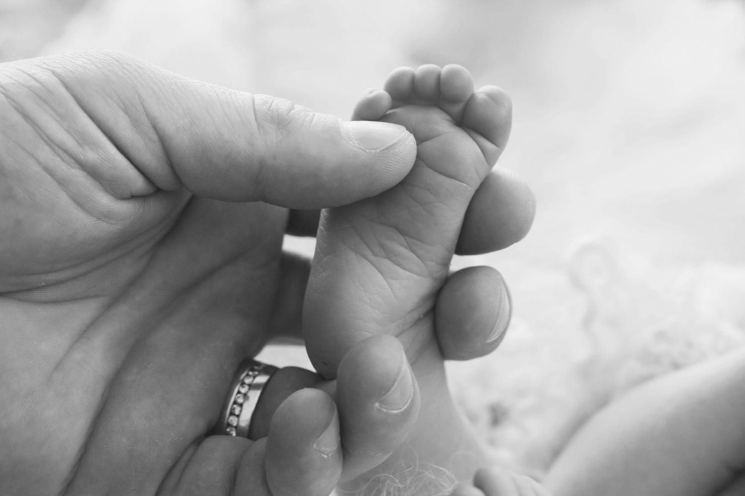 Maitland placenta encapsulation, Maitland Placenta Capsules, Maitland newborn photographer, Maitland maternity photographer,