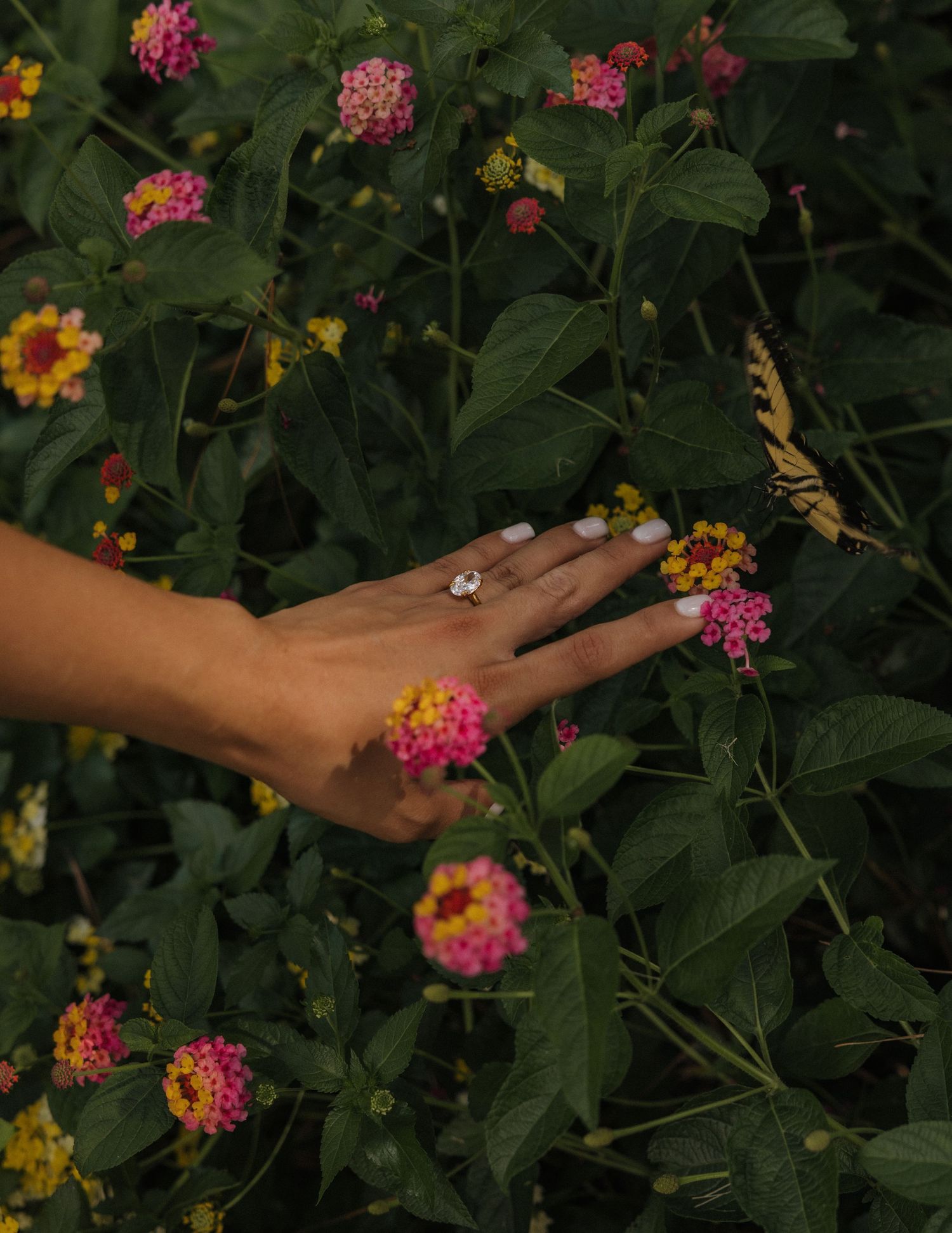 A hand with a diamond ring reaches toward colorful lantana flowers with a swallowtail butterfly nearby.