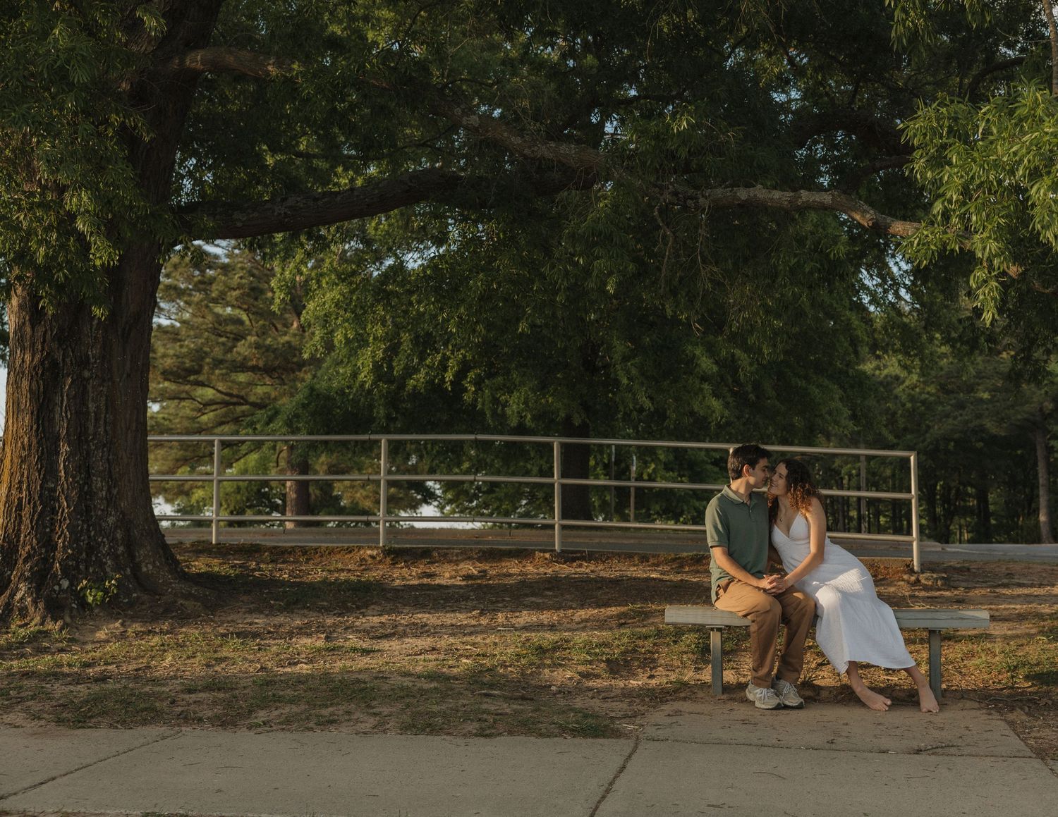 Couple sitting close together on a bench under a large tree in a park during golden hour.
