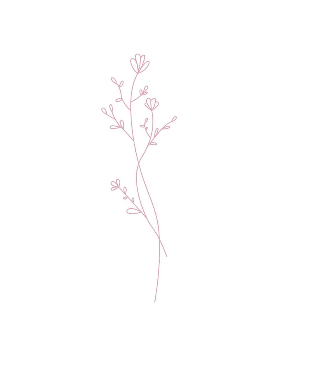 Delicate pink floral branches with small buds and leaves drawn in a minimalist style.