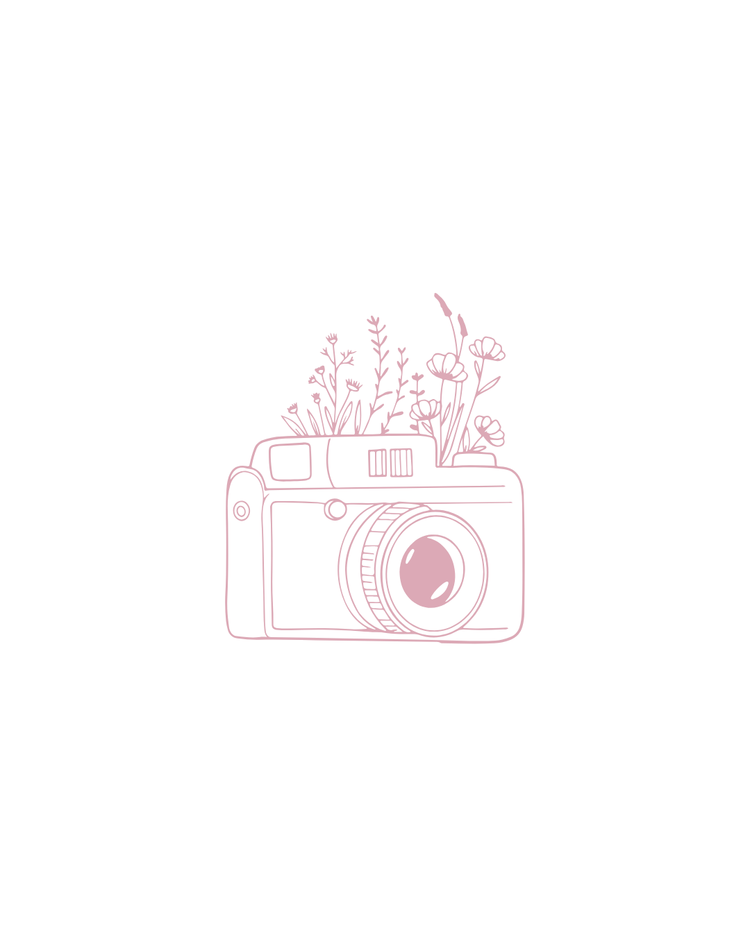Three vintage-style cameras drawn in pink line art with floral decorative elements.