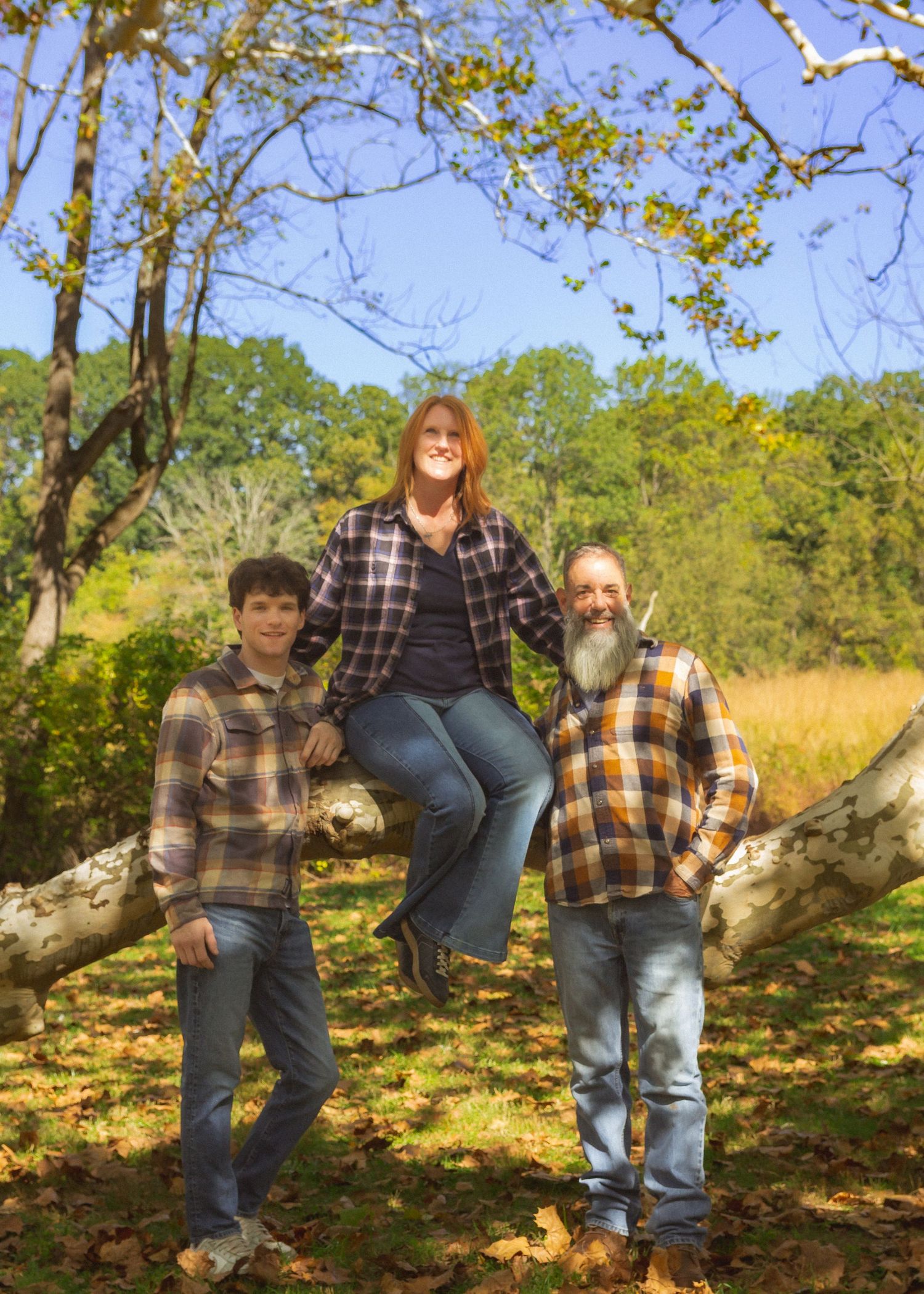 Four connected images show people sitting casually on a fallen tree trunk in a sunny autumn woodland setting.