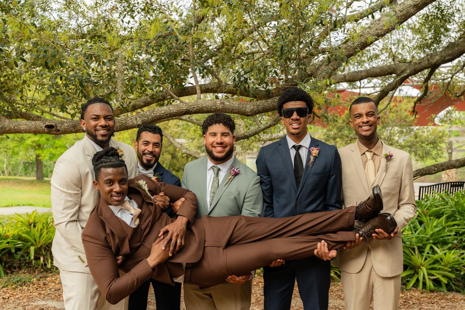 Groom carried by groomsmen in suits laughing outdoors under large tree at wedding celebration.