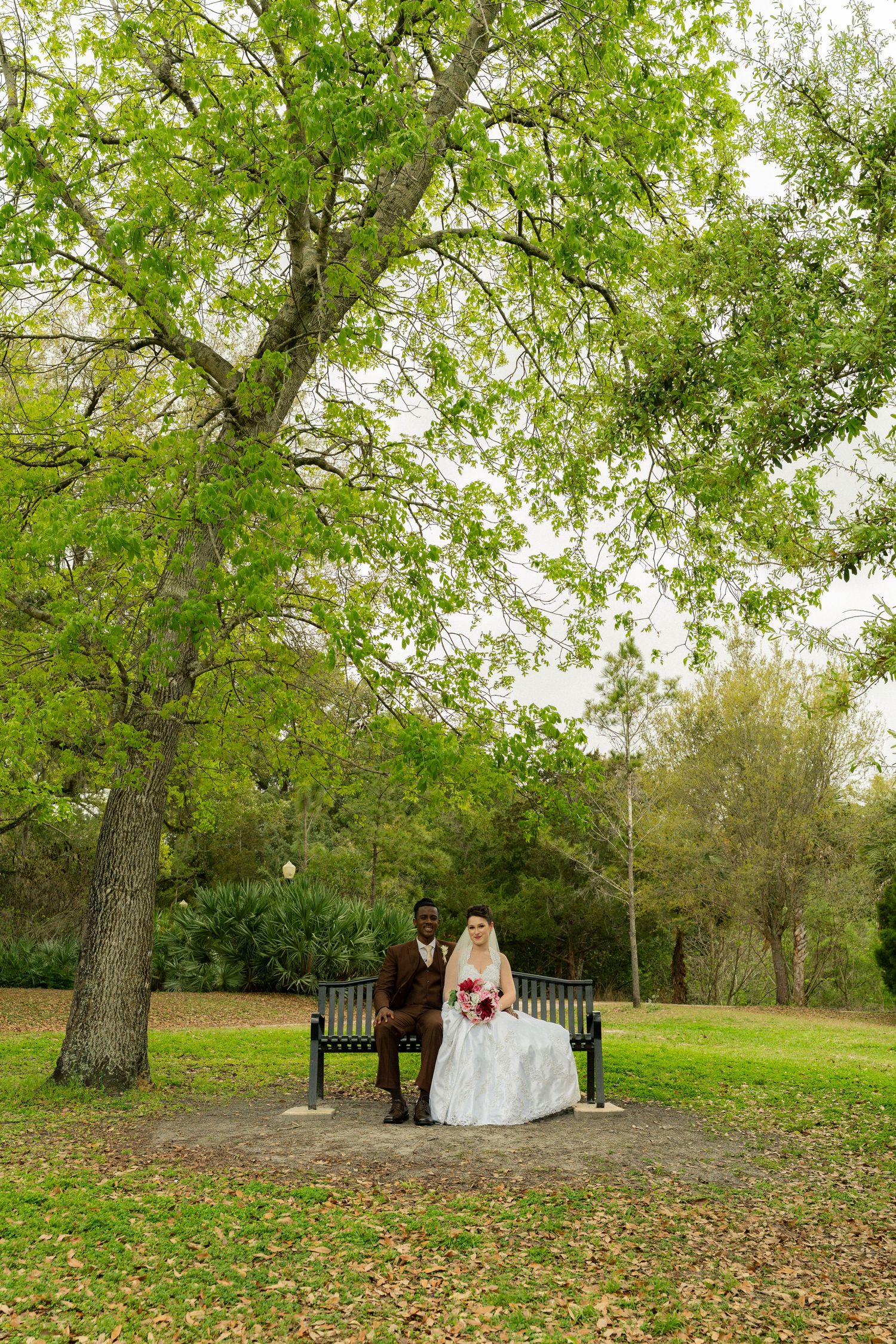 Interracial bride and groom sit on park bench under large green tree with fall leaves.