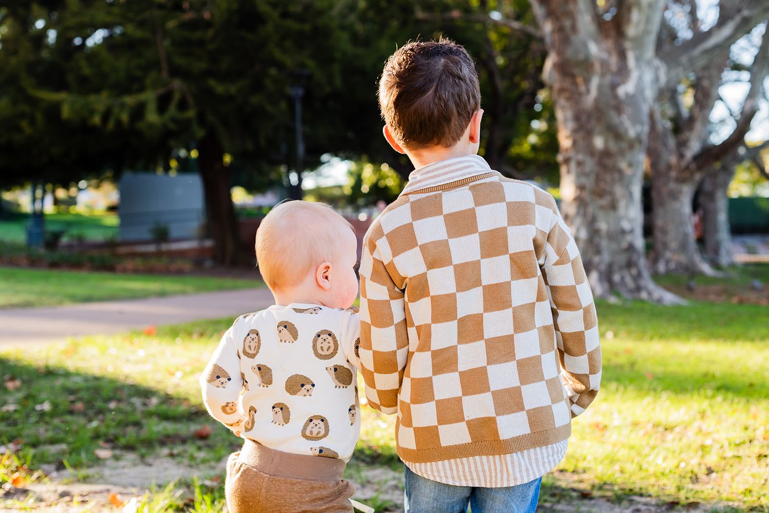 Checkered sweater pattern view in warm natural outdoor lighting at sunset.