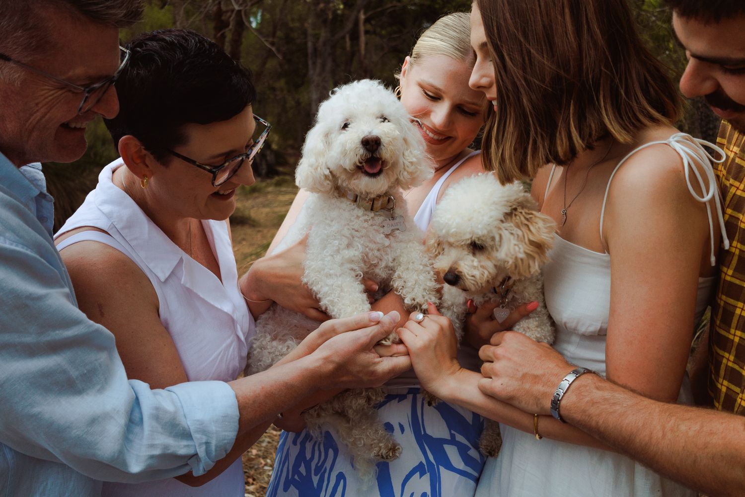 Small white fluffy dog being petted by multiple hands outdoors. Pet farewell photography