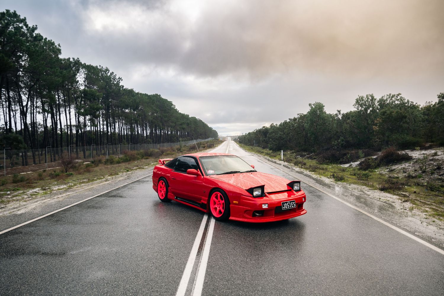 Red sports car driving on empty coastal road lined with pine trees.
