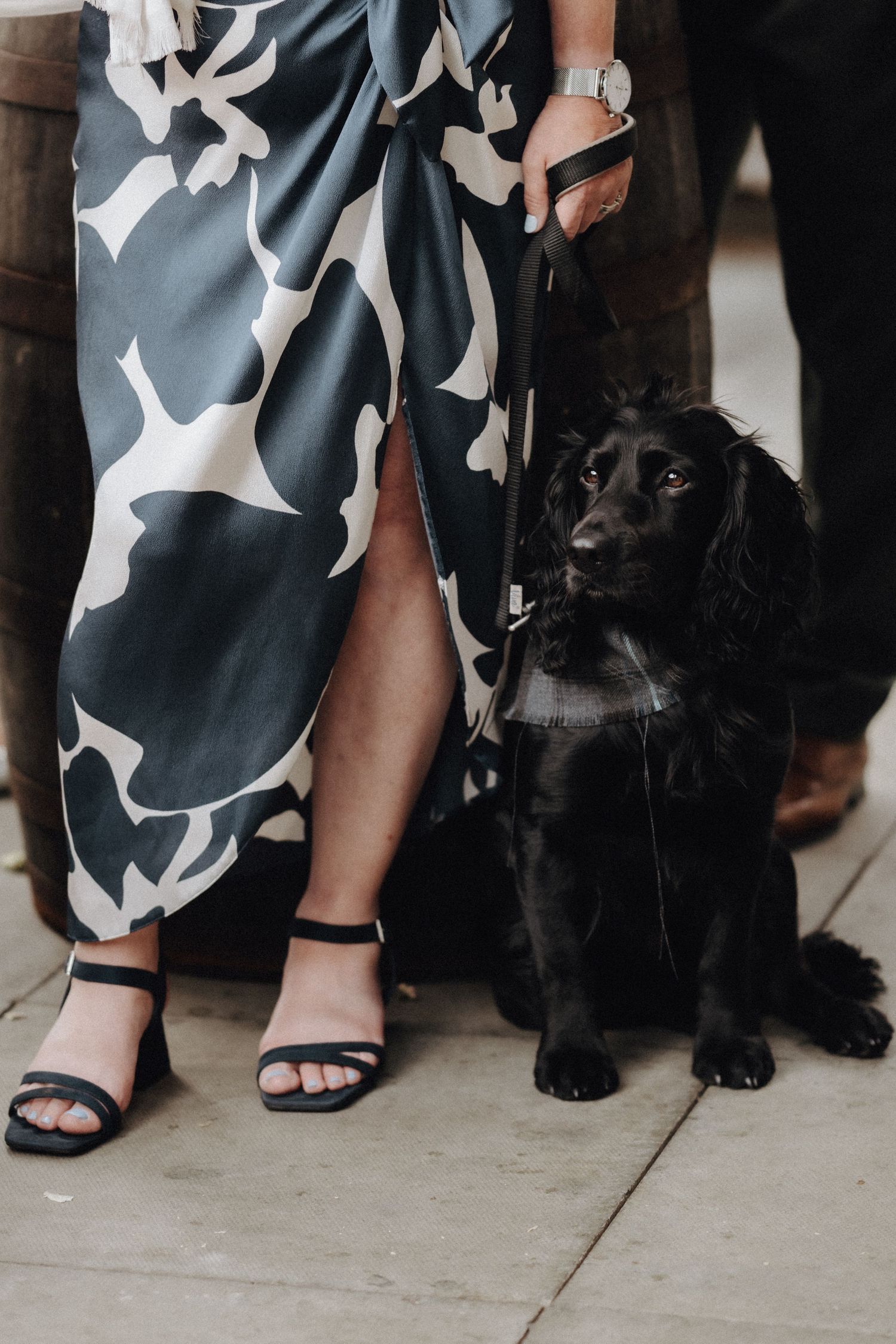 Black dog sits beside person wearing floral dress and sandals at formal event.