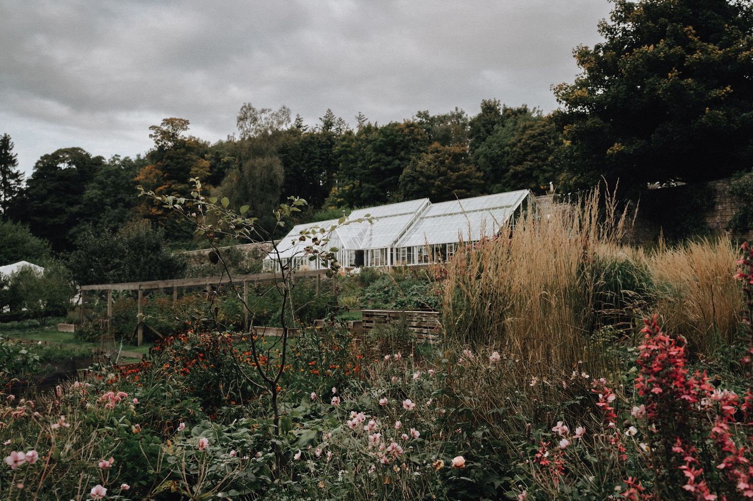 White greenhouse surrounded by colorful flower gardens and tall grasses on an overcast day.