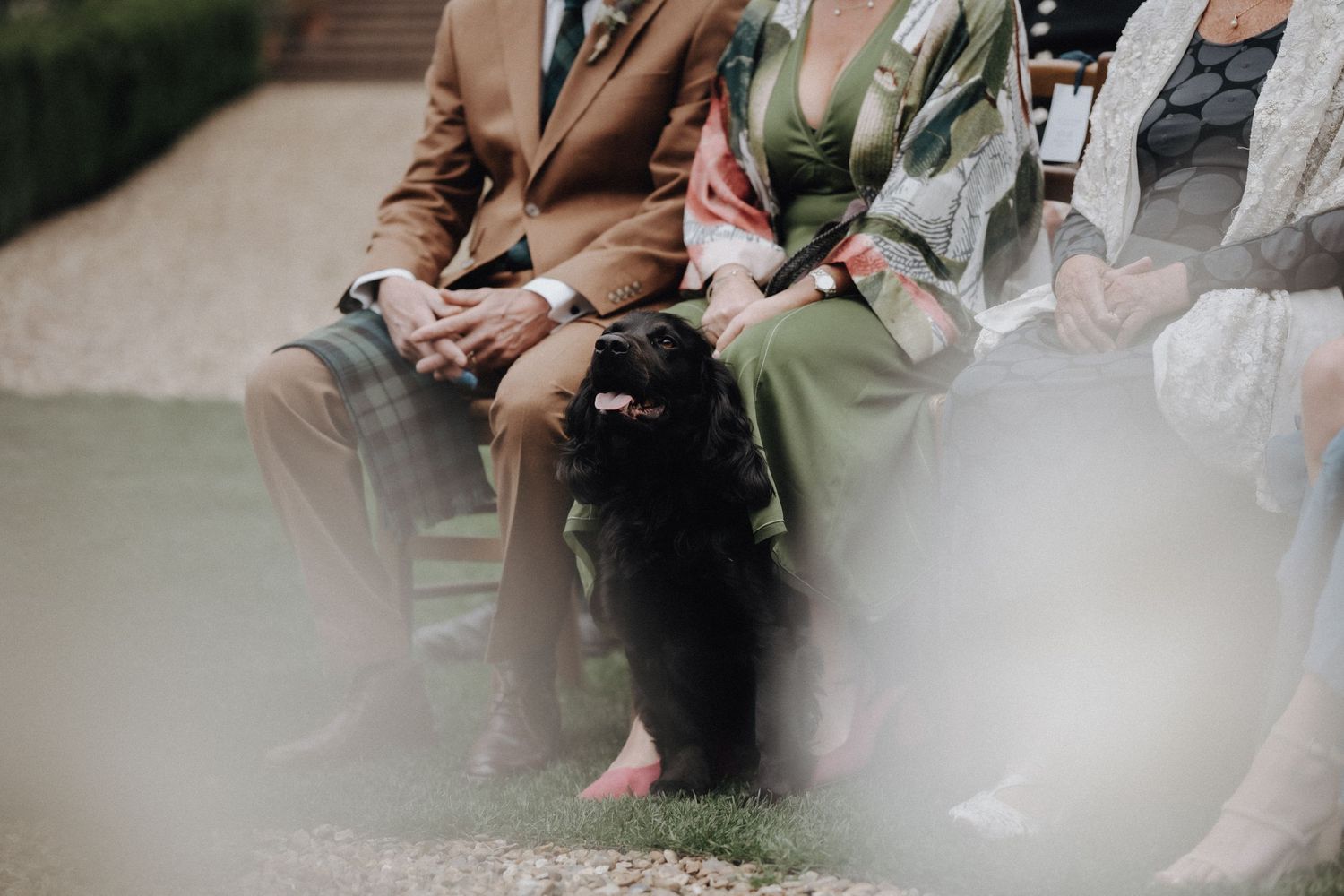 Guests in formal attire seated at outdoor wedding ceremony captured through blurred foreground.