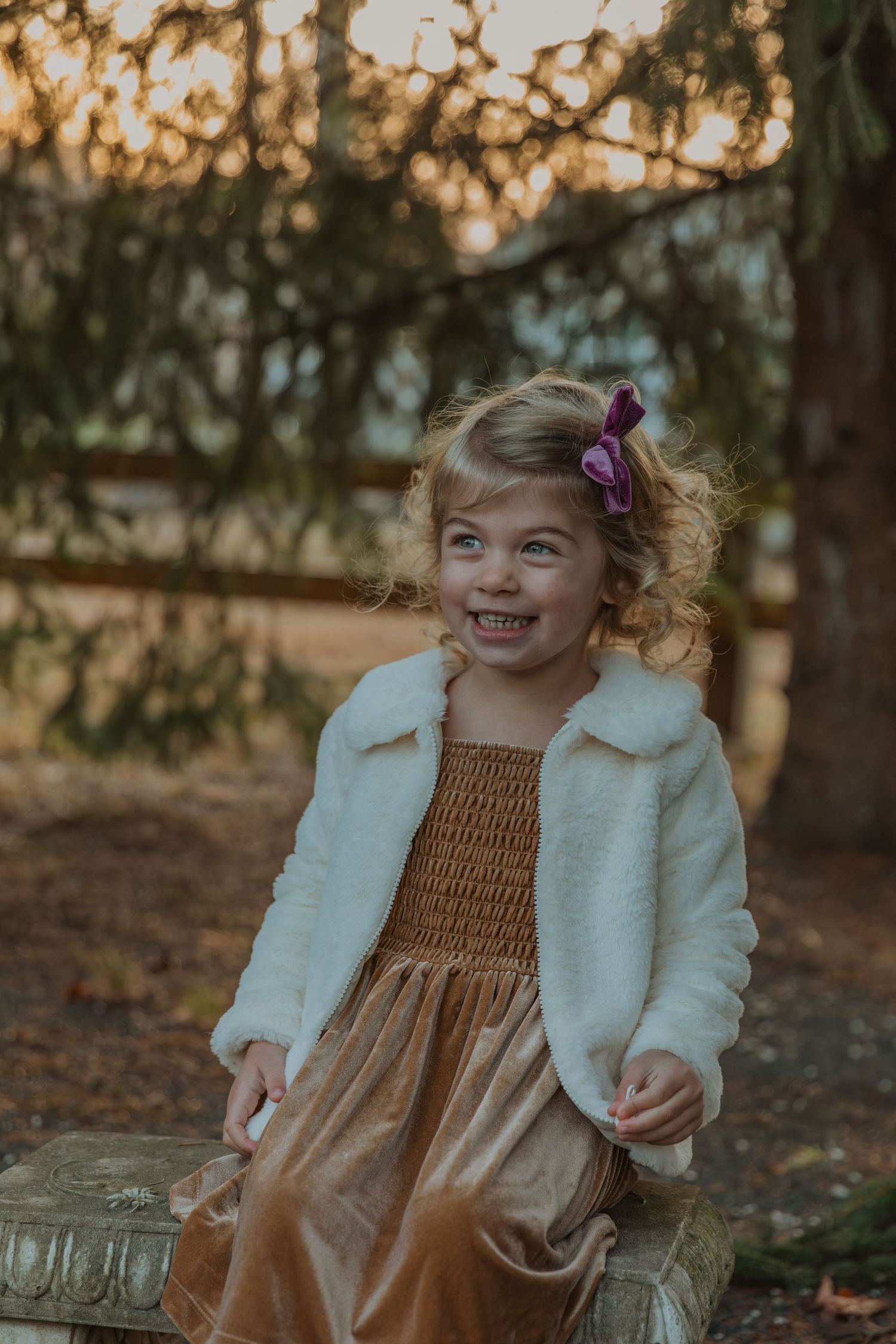 Family Portraits