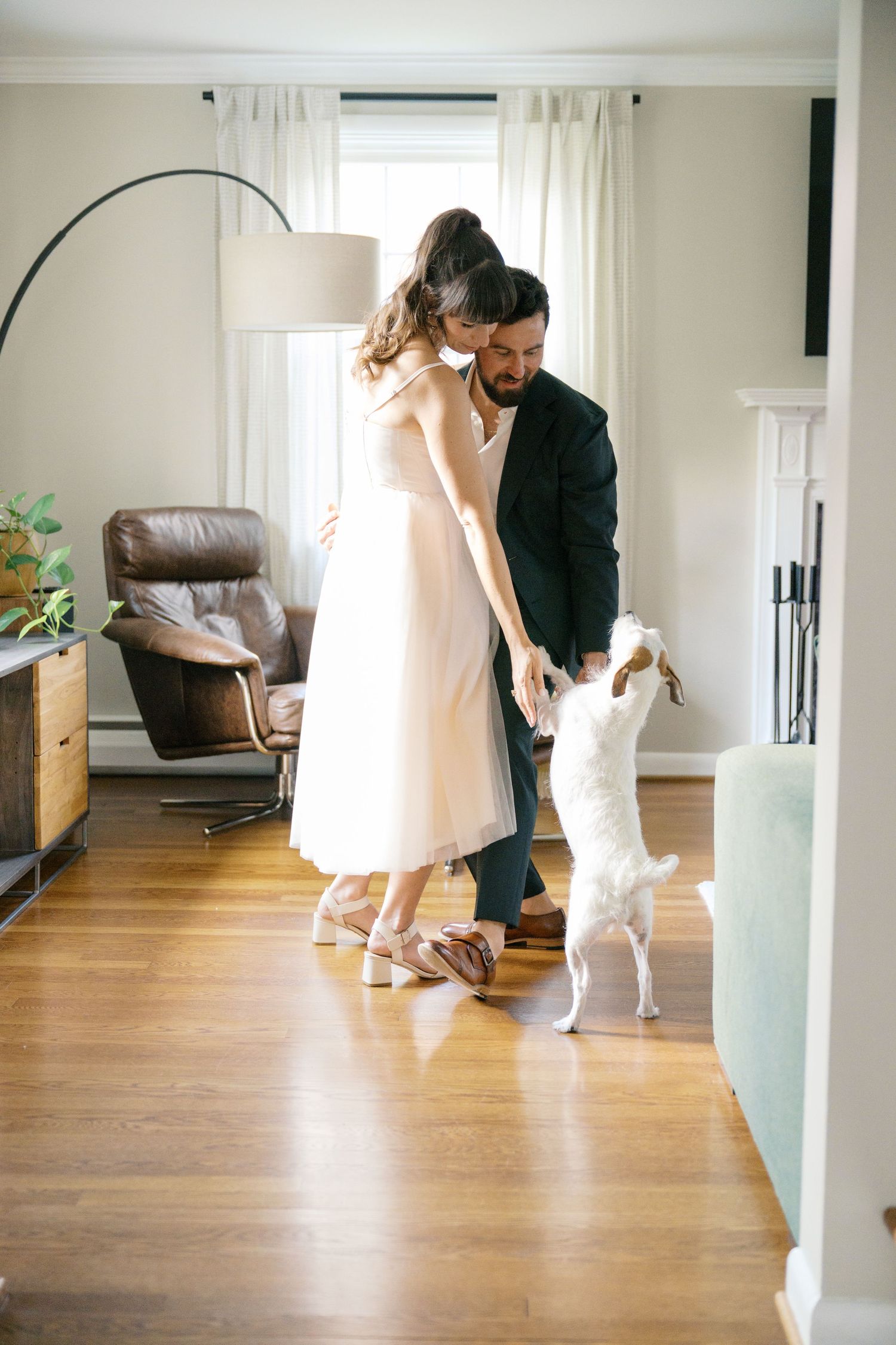 A small white dog jumps up playfully at a couple in formal attire in a sunlit living room.