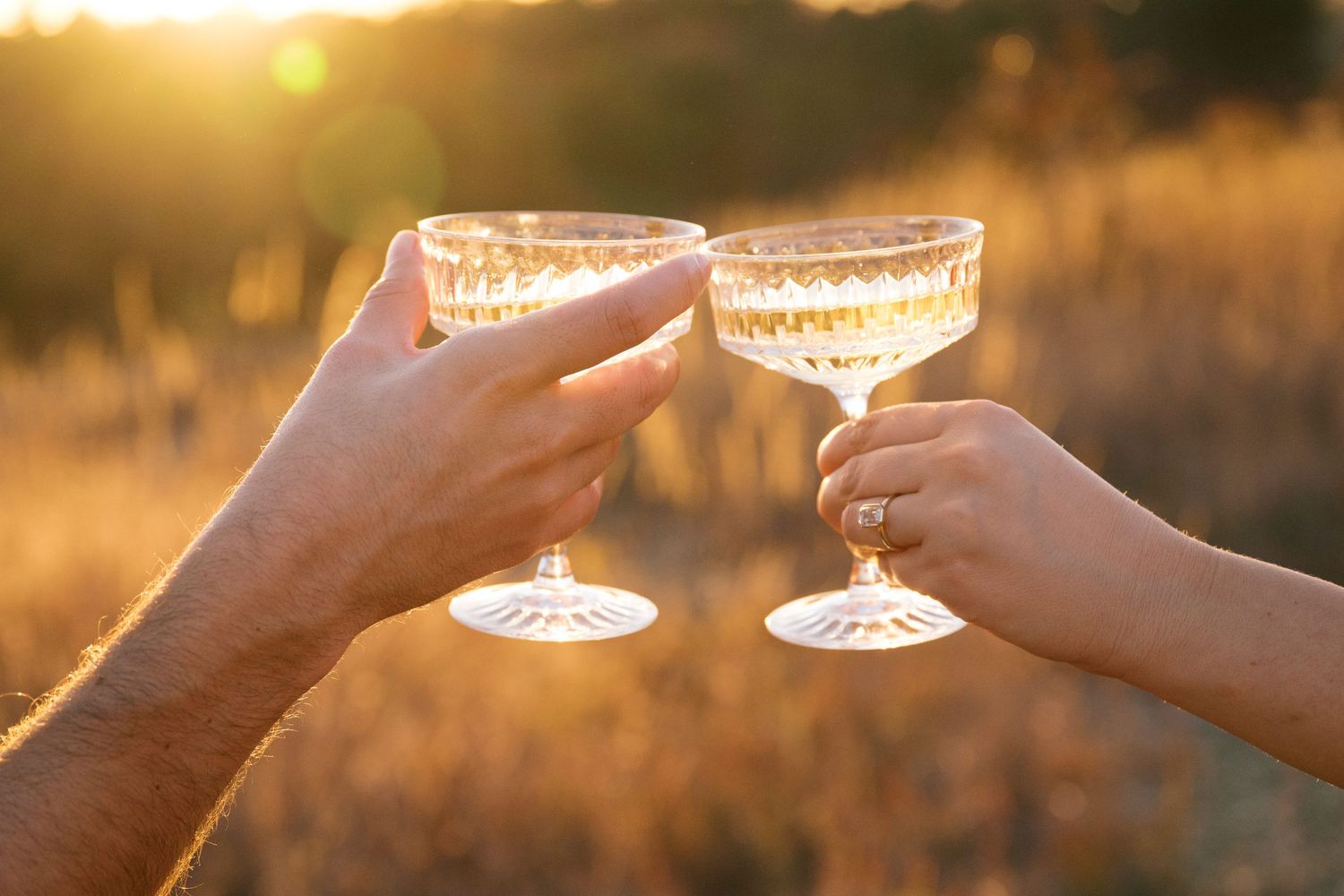 Two hands toasting with coupe champagne glasses during golden sunset hour.