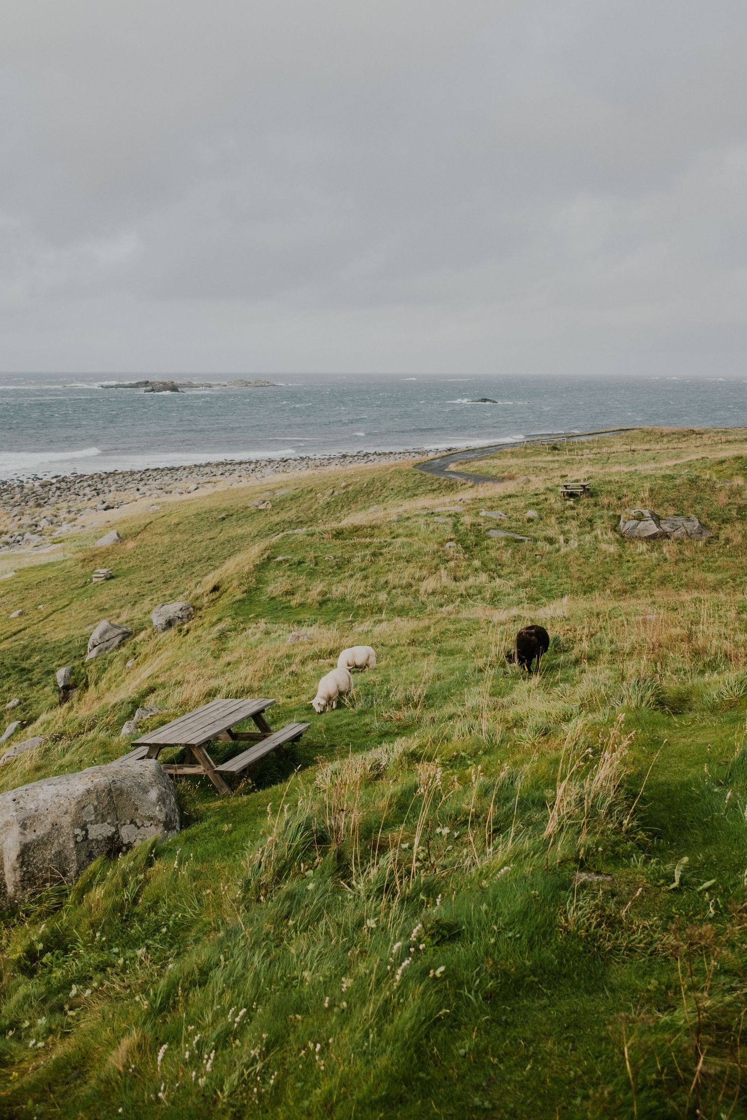 Grassy coastal hillside with picnic bench overlooking rocky shoreline and misty ocean horizon.