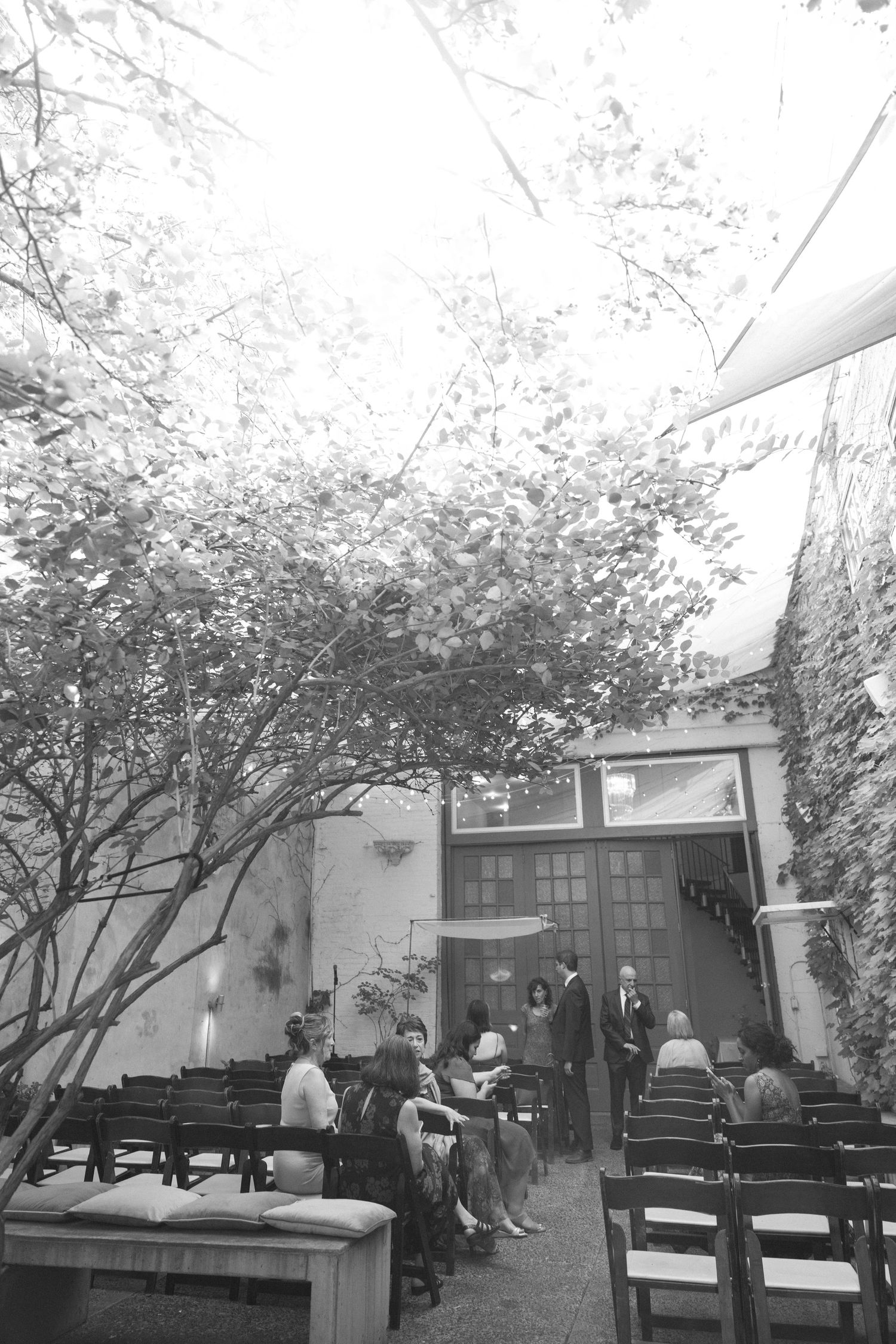 Outdoor wedding ceremony setup with chairs under blooming trees.