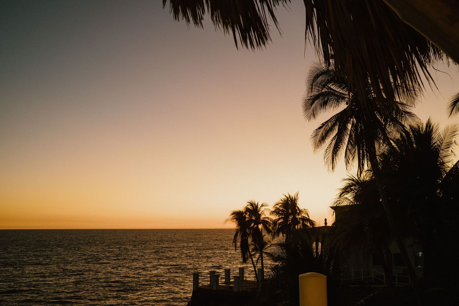Palm trees silhouetted against a golden sunset over the ocean horizon.