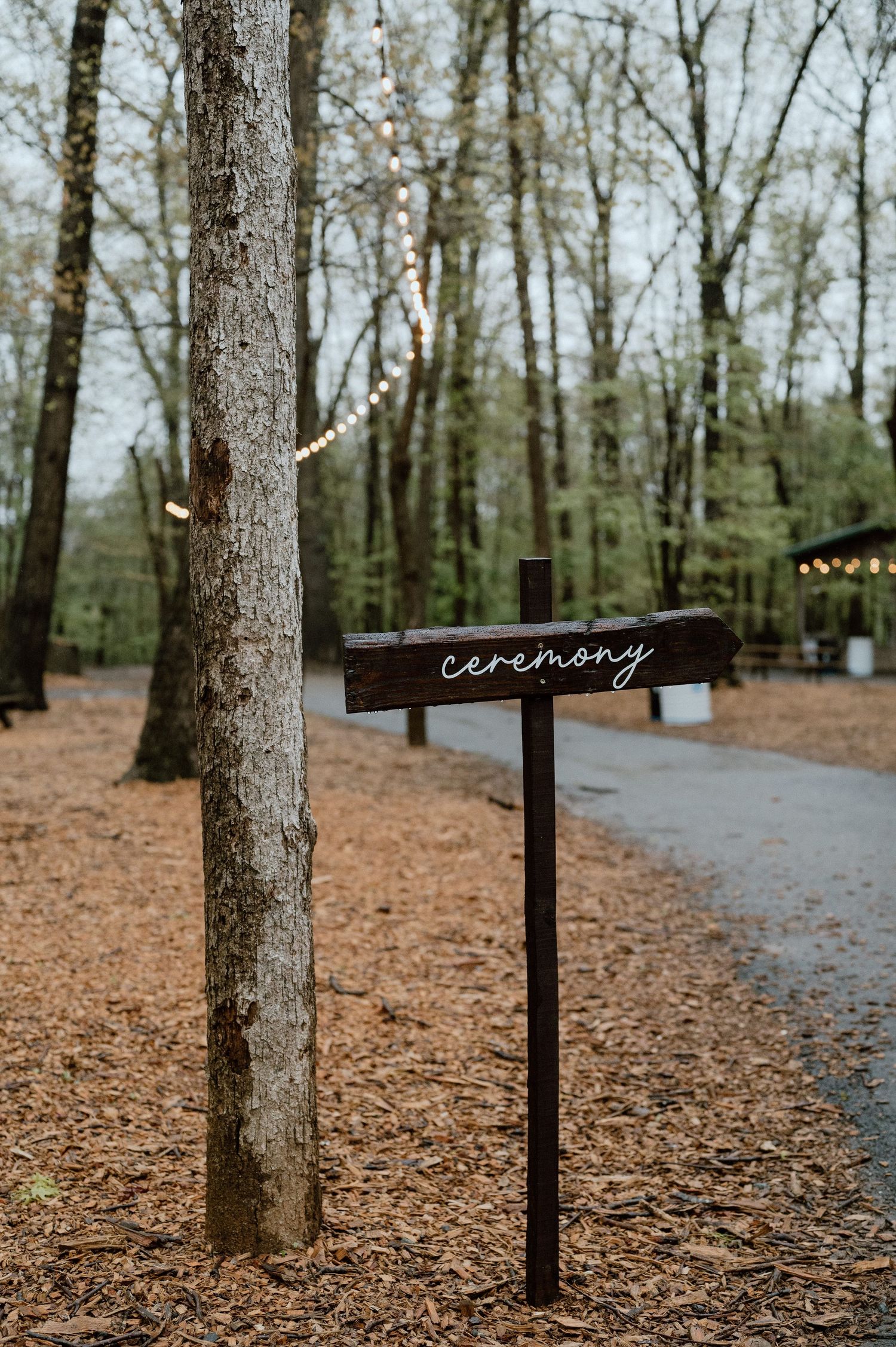 Wooden ceremony direction sign on post in forest with string lights.