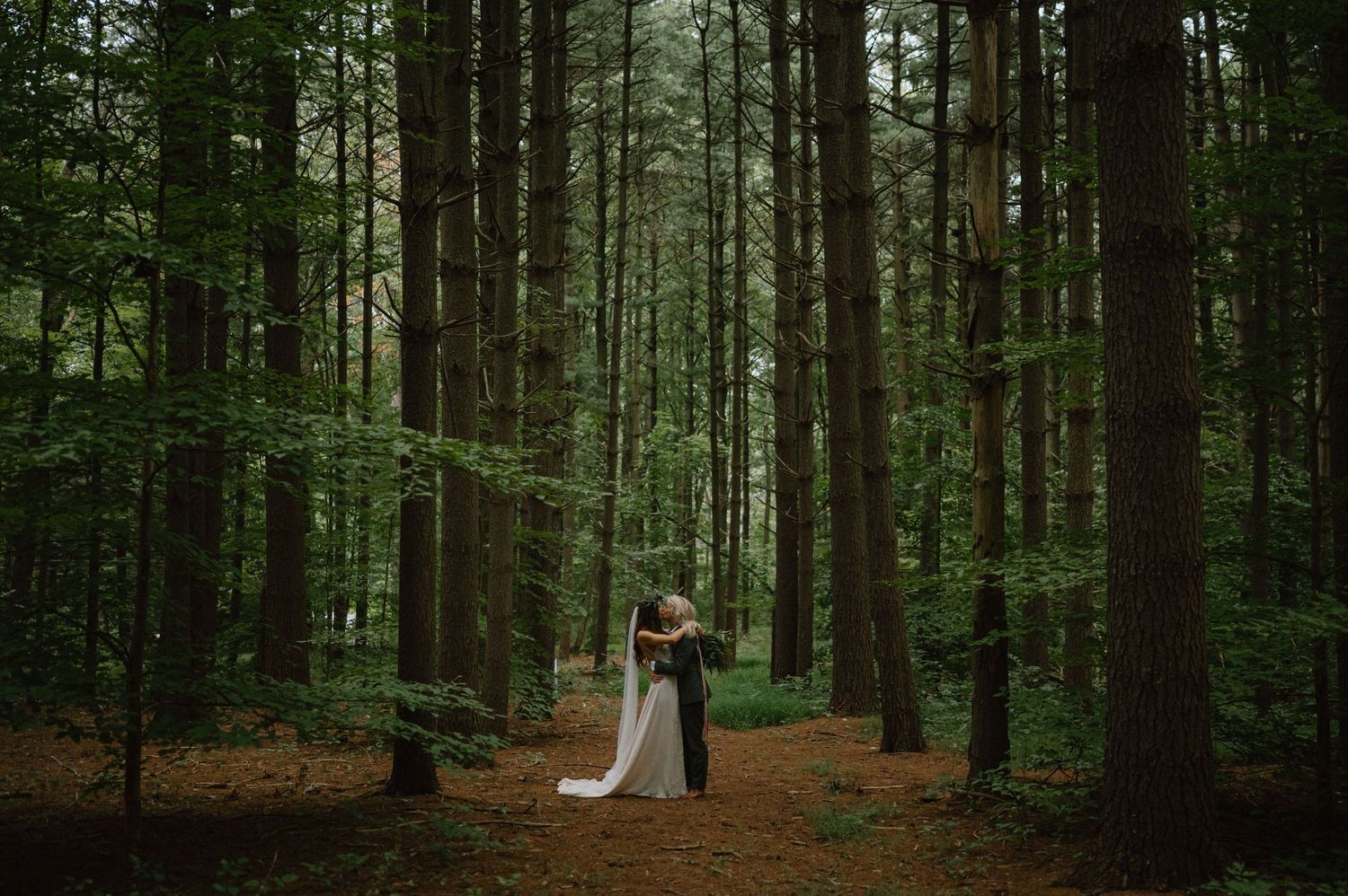 A romantic wedding photograph in a moody forest setting with tall evergreen trees.