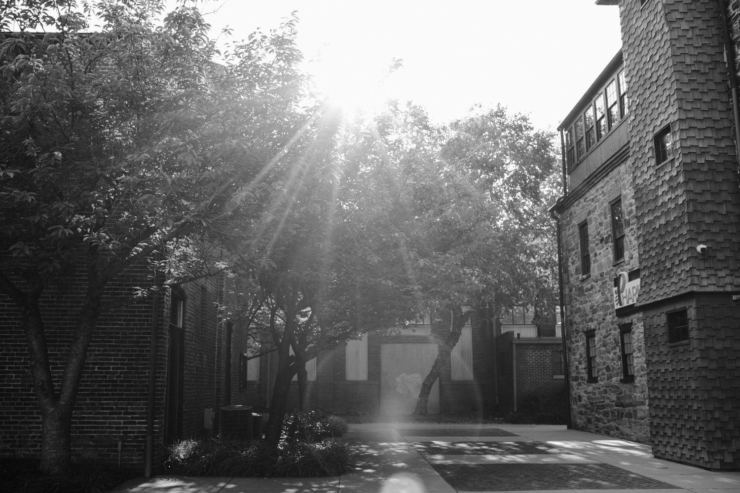 Sunlight streams through trees onto a brick building pathway in black and white.