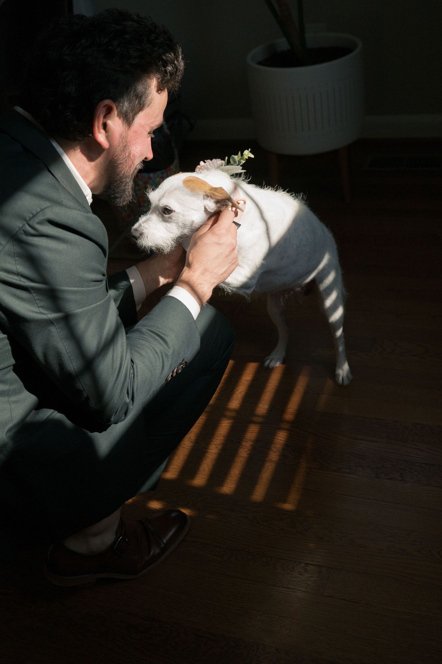 Series of silhouetted images showing a person in suit kissing a small white pet against dramatic lighting.