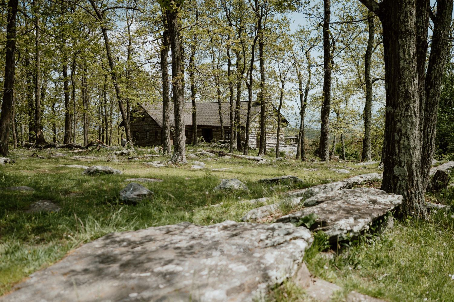 Stone path leads to a rustic cabin nestled among tall trees in a serene forest setting.