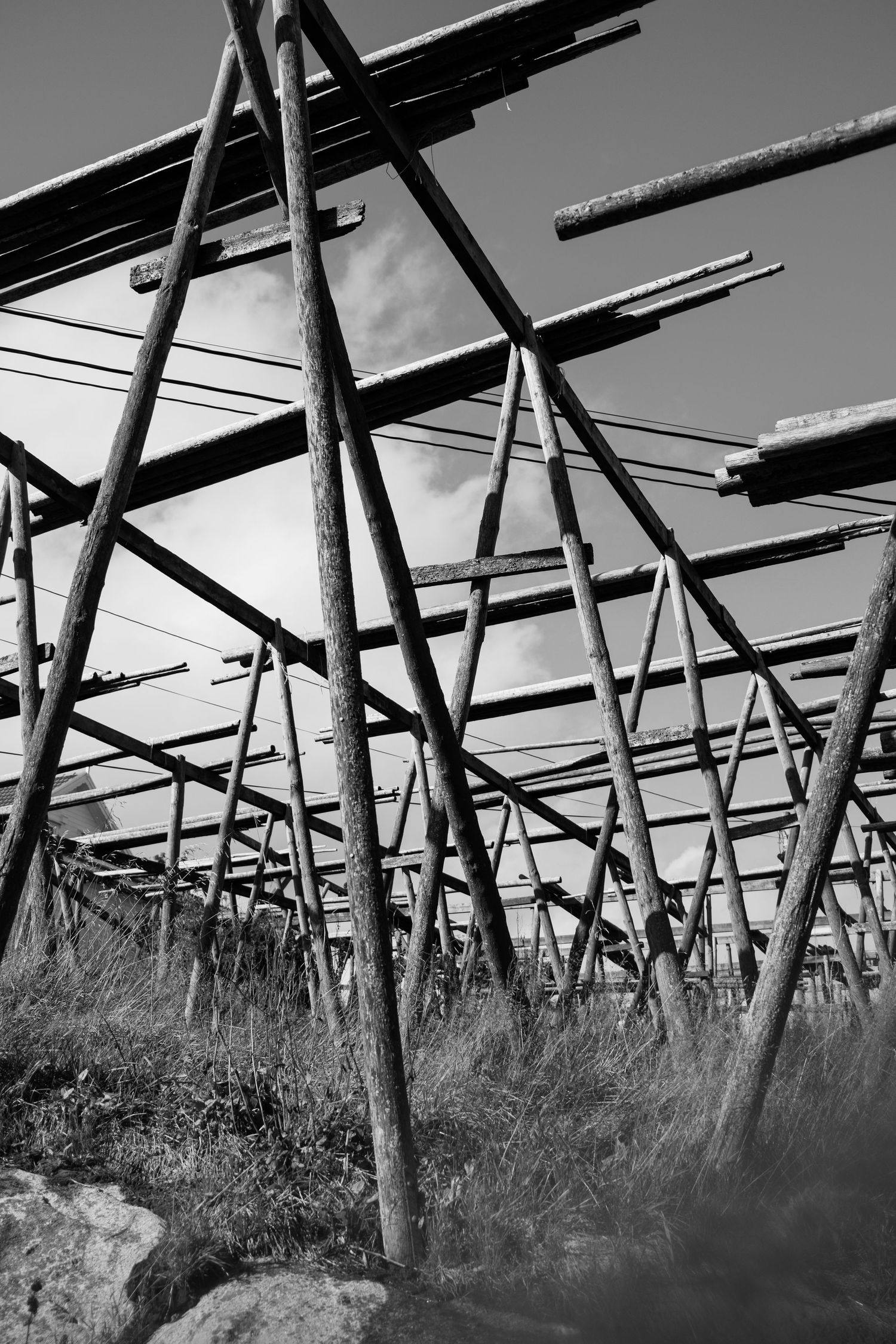 Black and white photograph of wooden drying racks used for fish processing against bright sky.