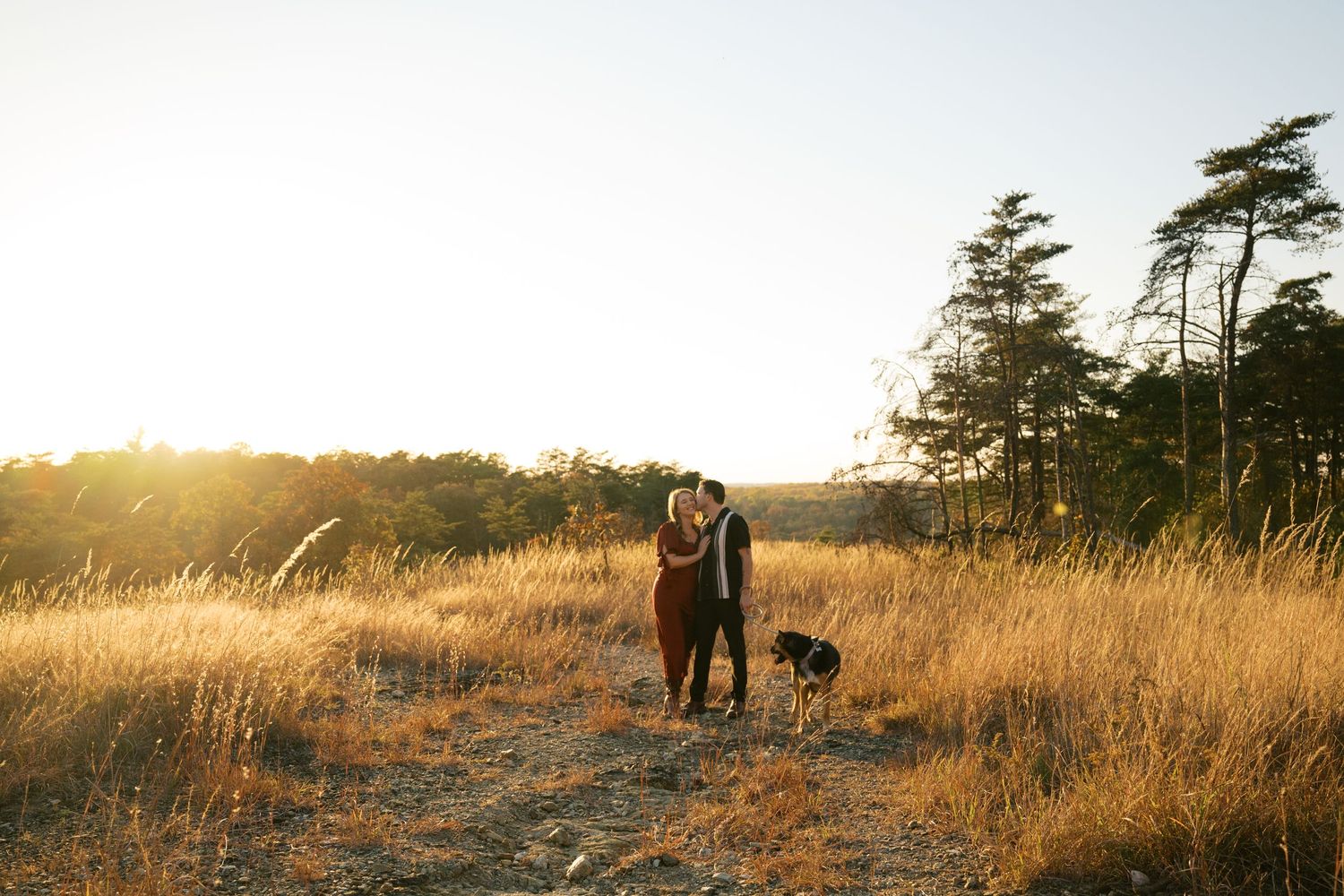 Two dogs walk together on a golden grass trail at sunset with tall trees silhouetted against the glowing sky.