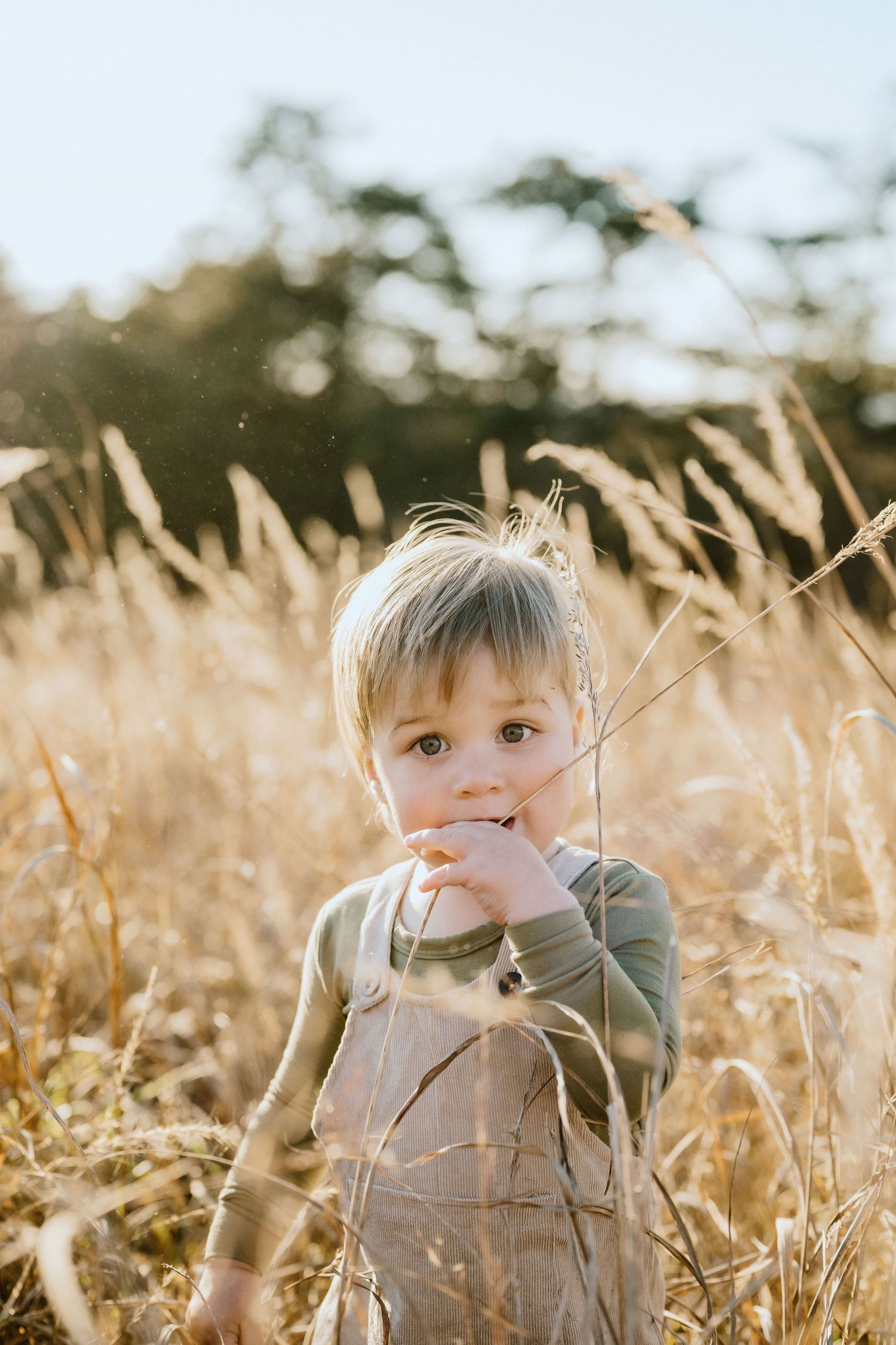 Young child in a green sweater standing in golden tall grass during sunset.