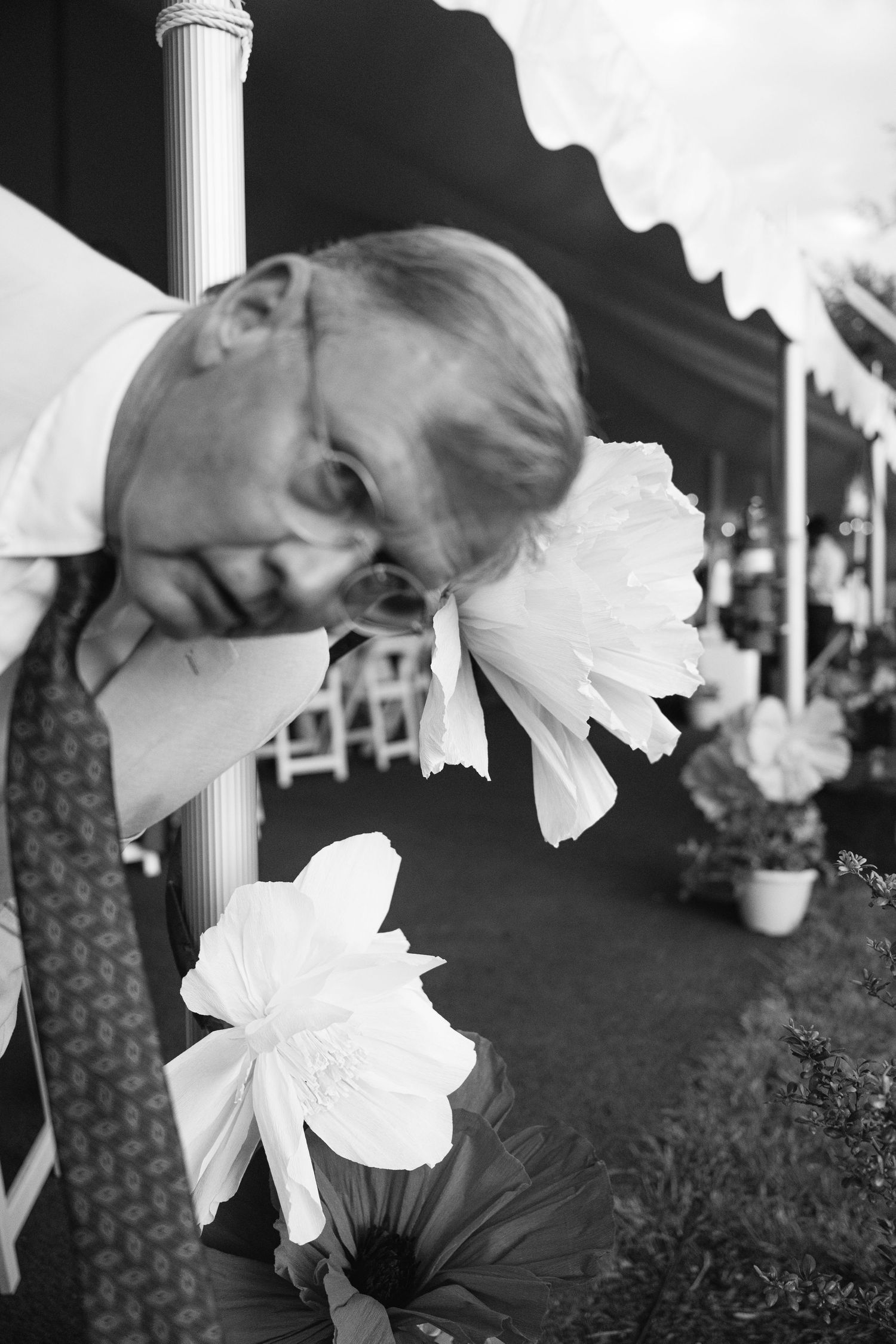White daffodil flowers bloom against a dark background in an artistic black and white composition.