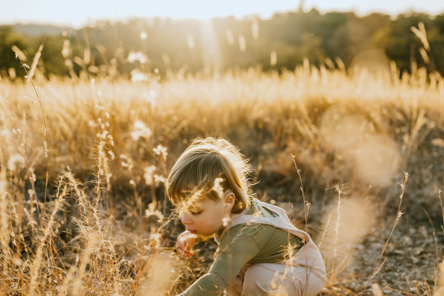 Child playing in sunlit field with golden grass.
