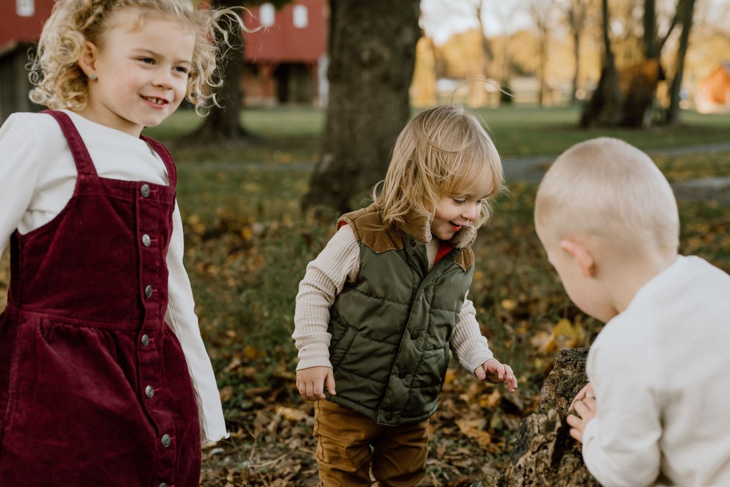 Children play together in fallen autumn leaves on a crisp fall day.