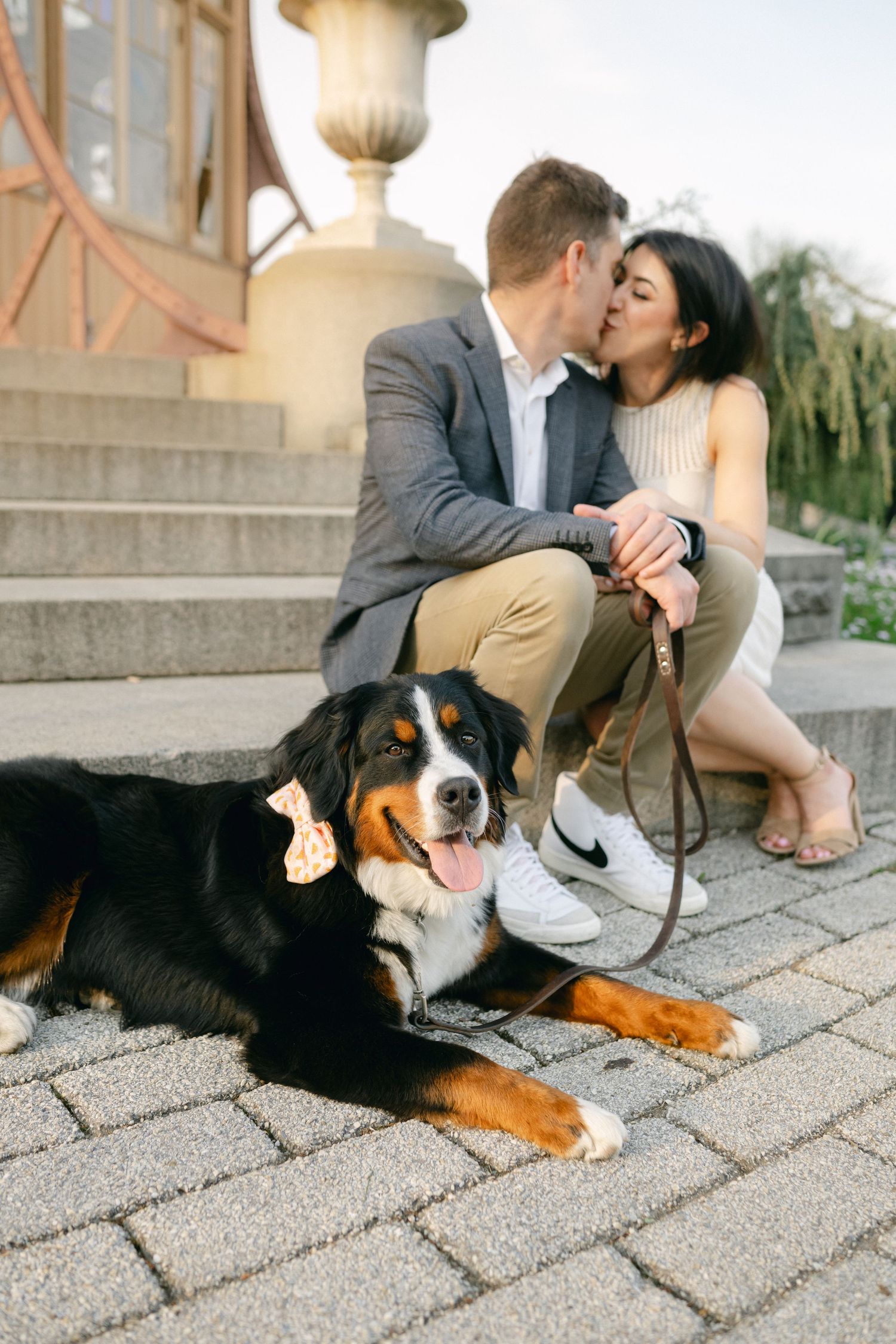 Couple kissing on steps with a Bernese Mountain Dog lying on brick pavement in foreground.