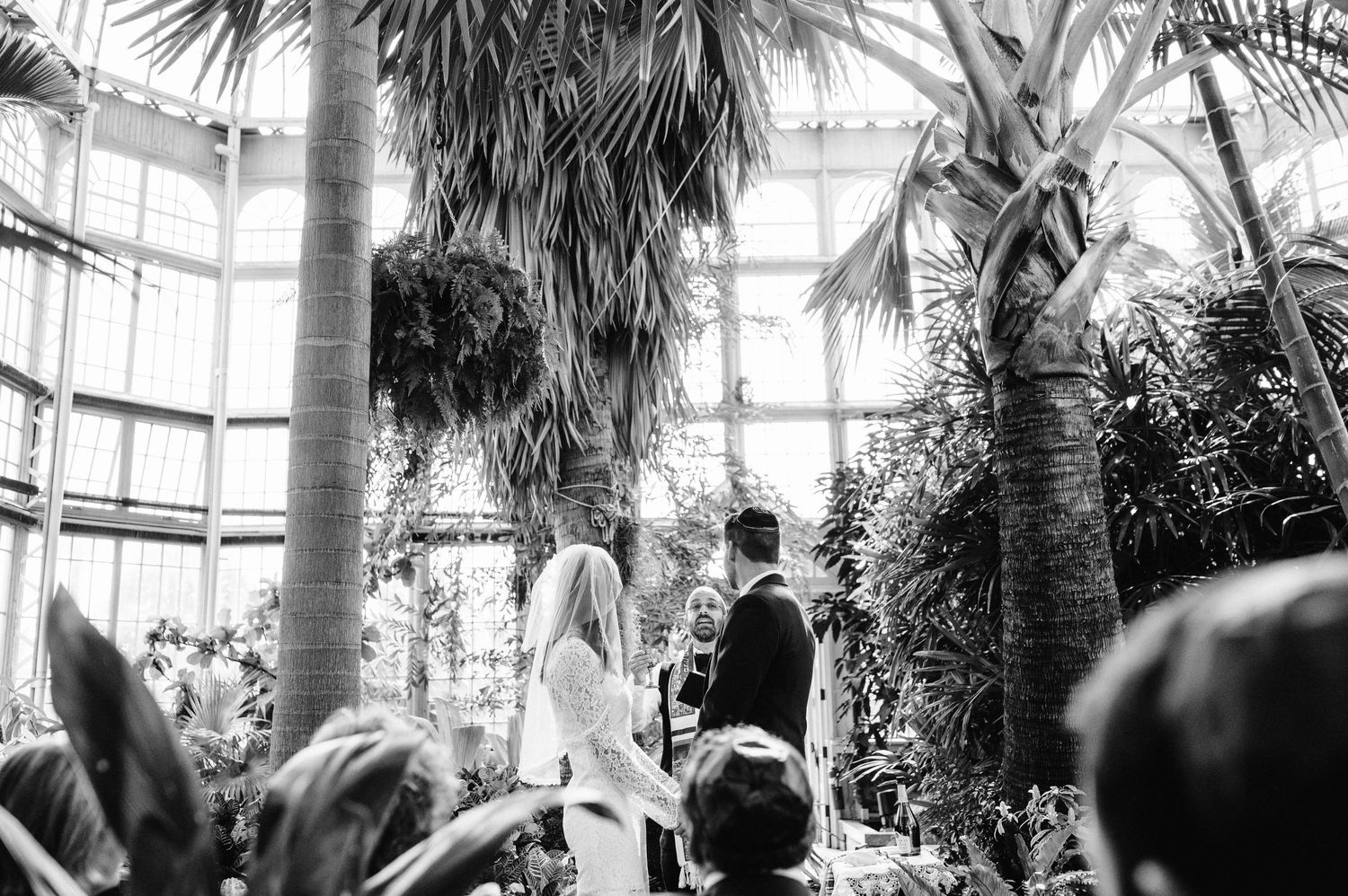 Black and white wedding ceremony in a botanical conservatory filled with palm trees.