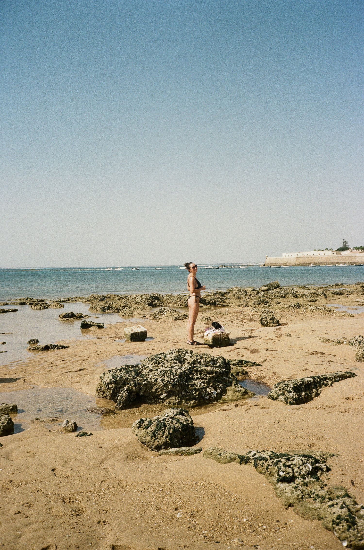 Sandy beach with scattered rocks and vegetation along the shoreline.