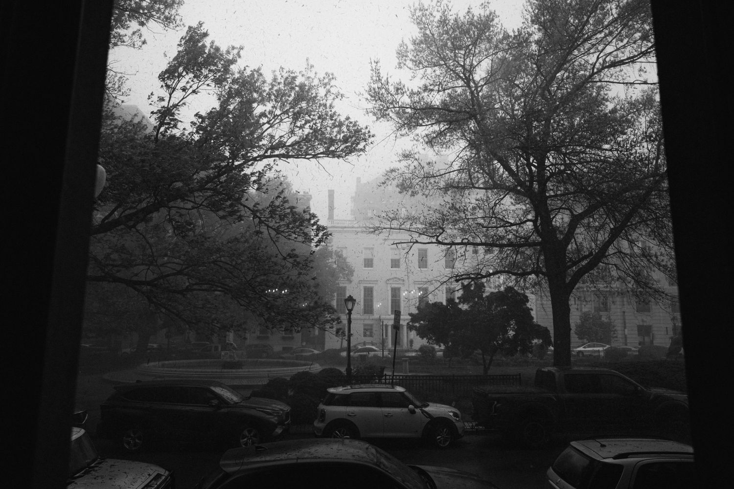 Black and white view of the White House through trees with parked cars in the foreground on a foggy day.