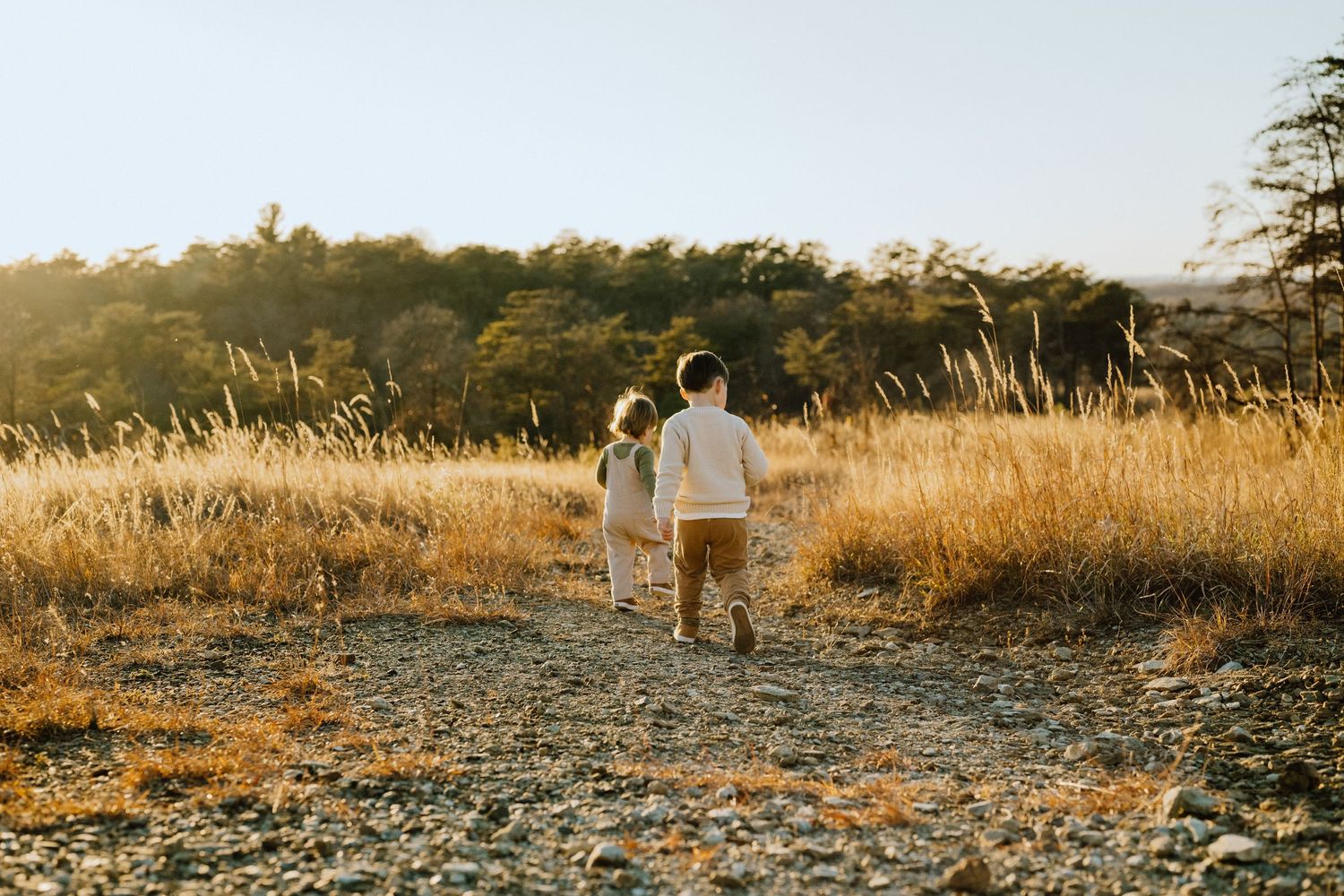 Family walking together through golden field at sunset.