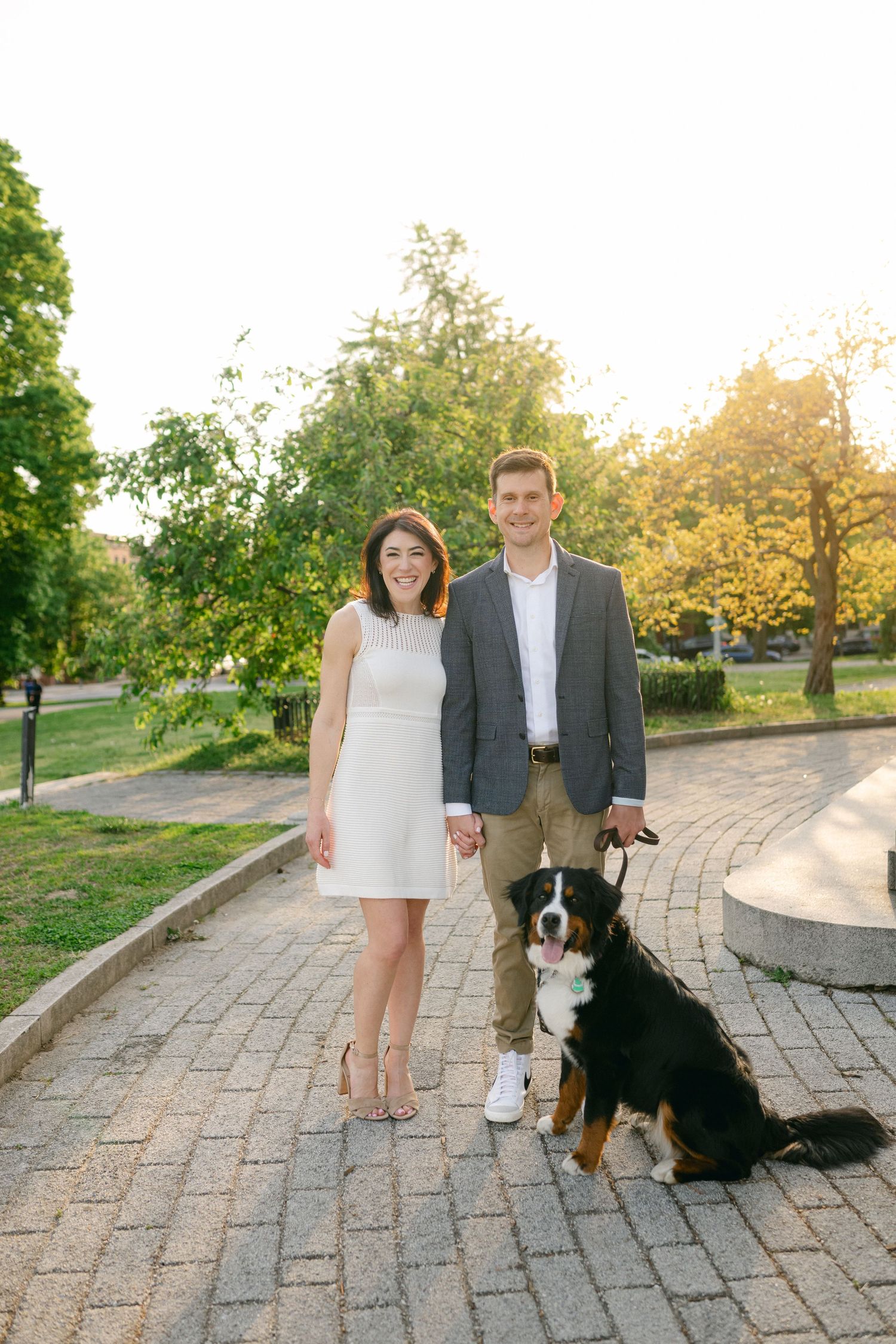 Couple in elegant attire holding hands with a Bernese Mountain Dog on a sunny park path surrounded by lush green trees.
