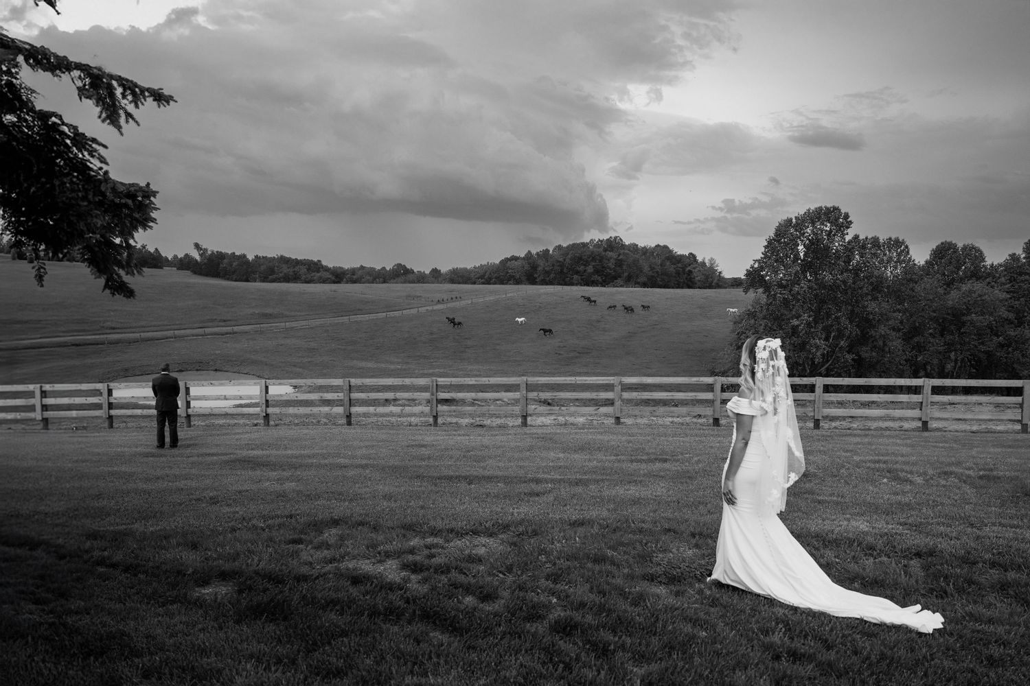 Dramatic black and white landscape with wedding couple silhouetted against rolling hills.
