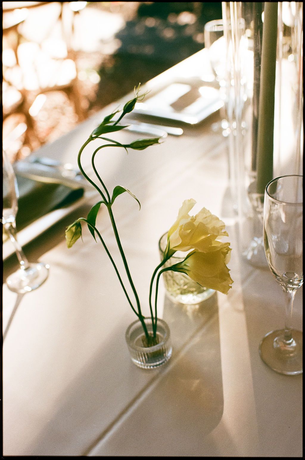Minimalist table settings with delicate white flowers in glass vases.