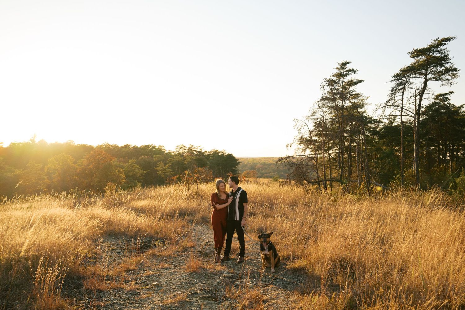 A couple and their dog enjoy a golden sunset in a field with tall grass and pine trees.