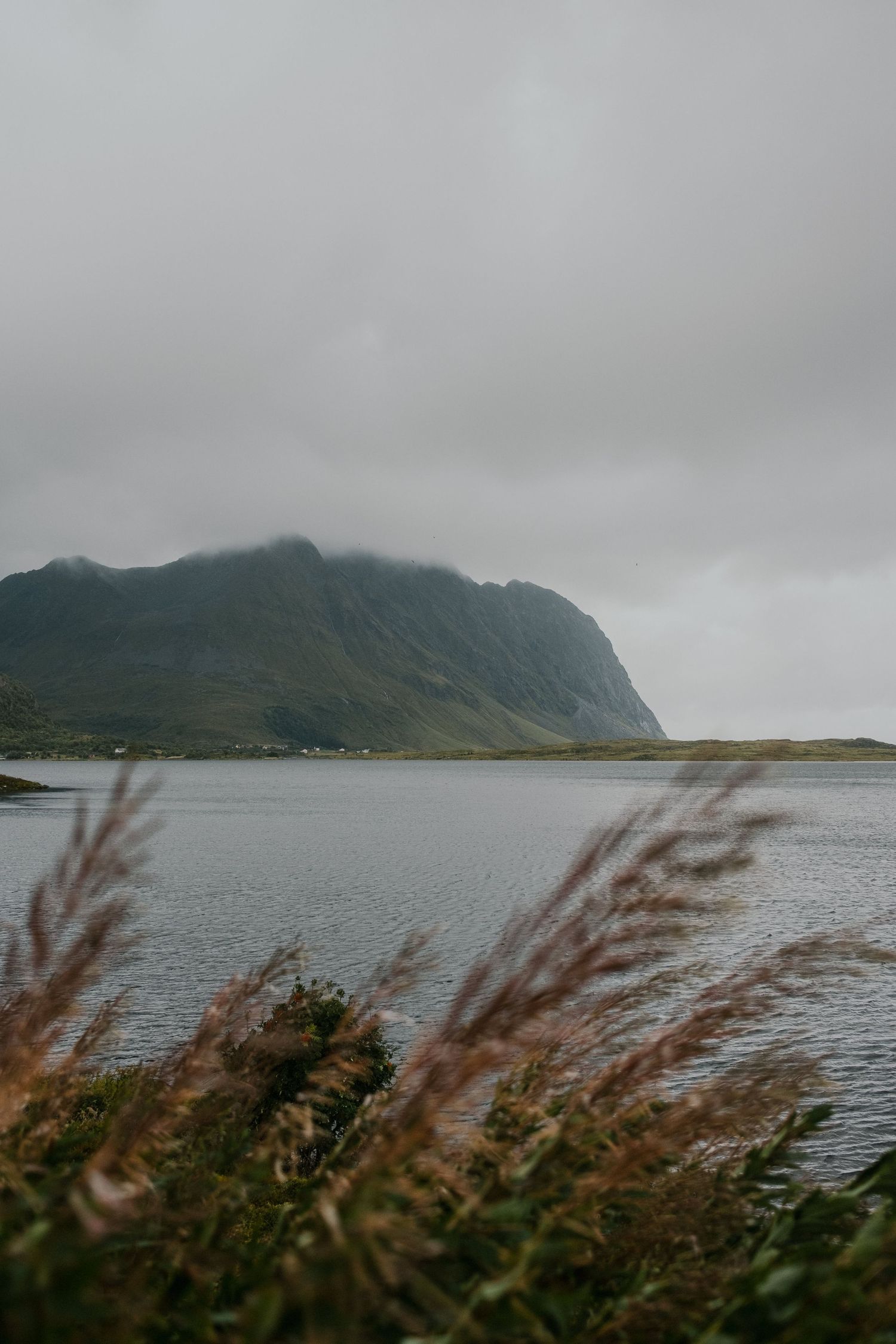 Dramatic mountain rising from a lake shore with windswept grasses in the foreground.