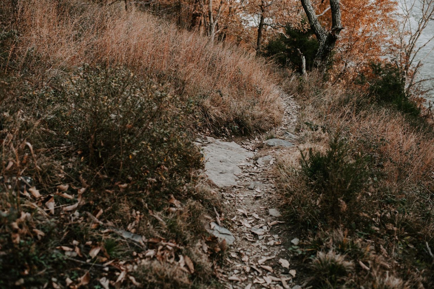 Rocky hiking trail winding through autumn brush and fallen leaves.