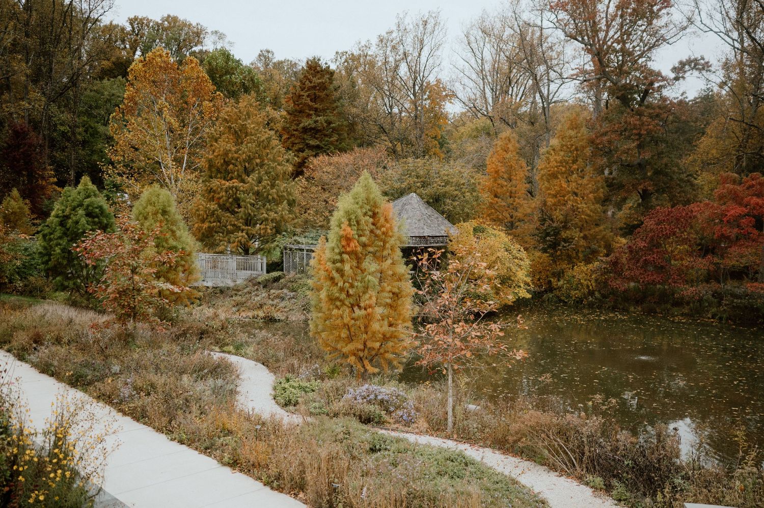 Autumn landscape with a wooden gazebo nestled among colorful fall foliage near a tranquil pond.