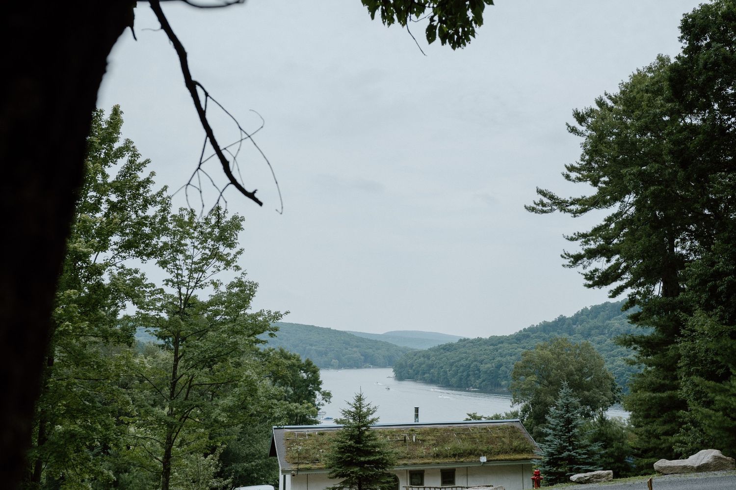 Scenic mountain lake view through trees with a distant dock visible.